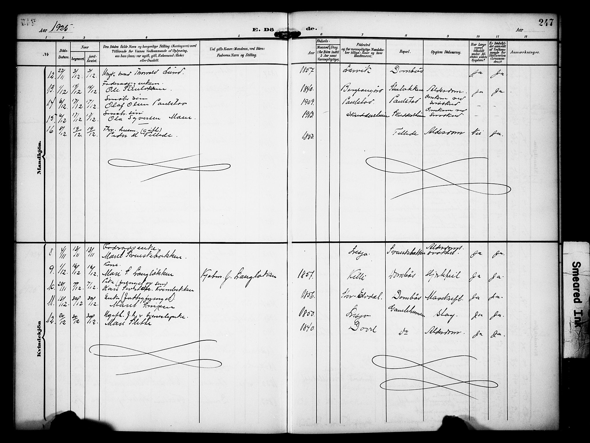 Dovre prestekontor, AV/SAH-PREST-066/H/Ha/Hab/L0003: Parish register (copy) no. 3, 1907-1929, p. 247