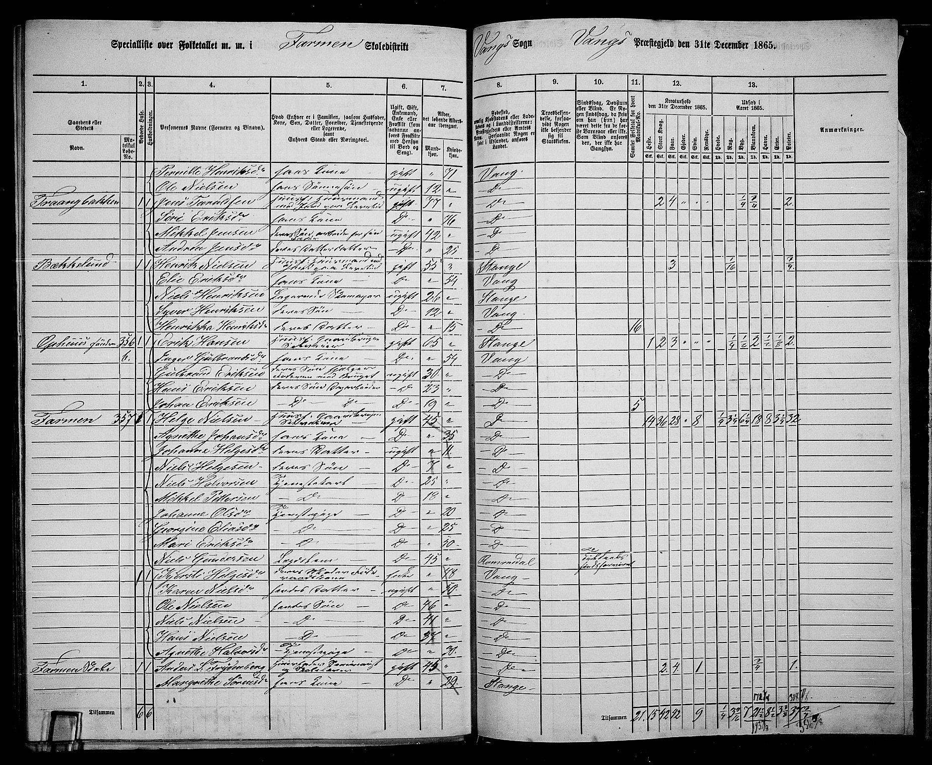 RA, 1865 census for Vang/Vang og Furnes, 1865, p. 317