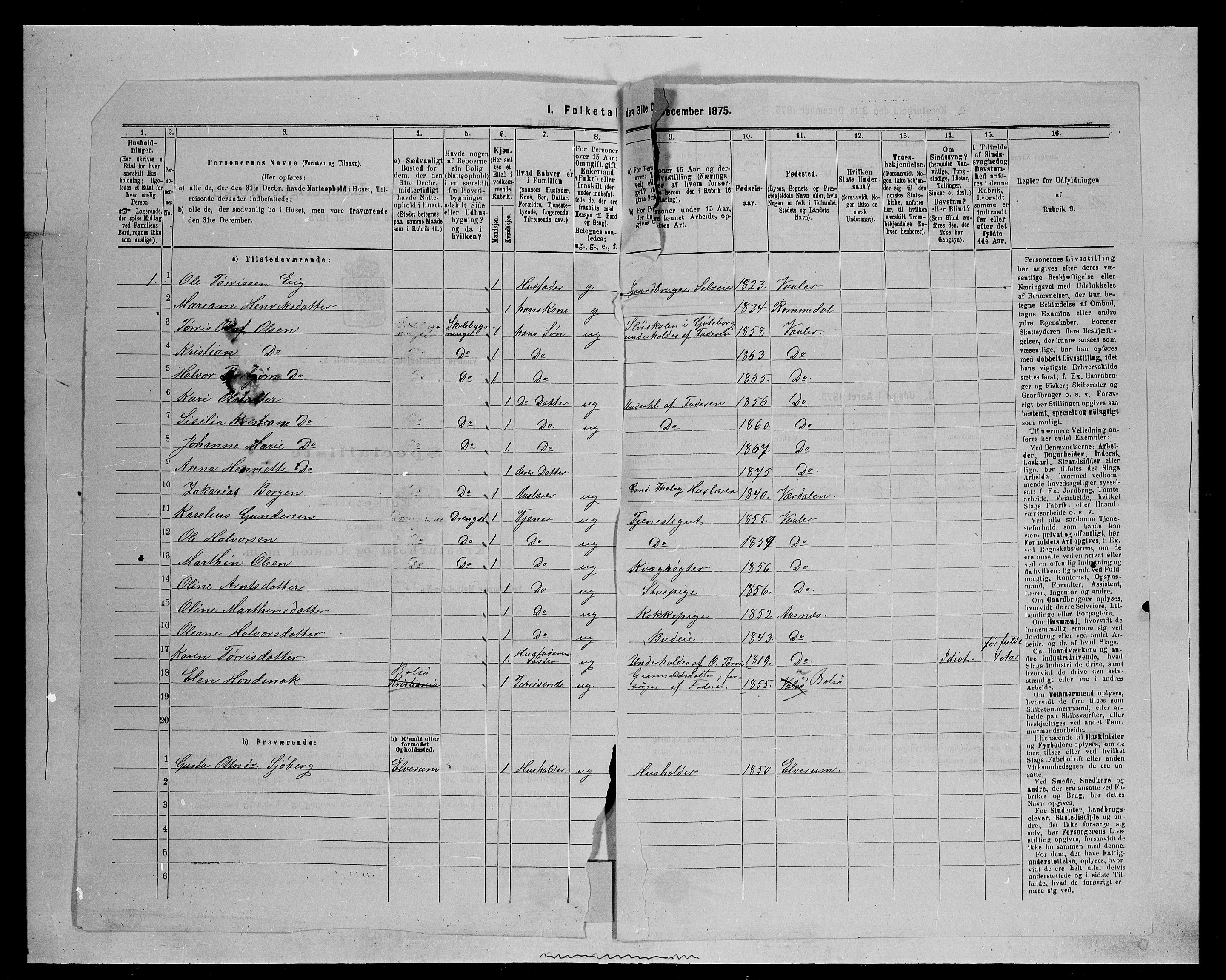 SAH, 1875 census for 0426P Våler, 1875, p. 455