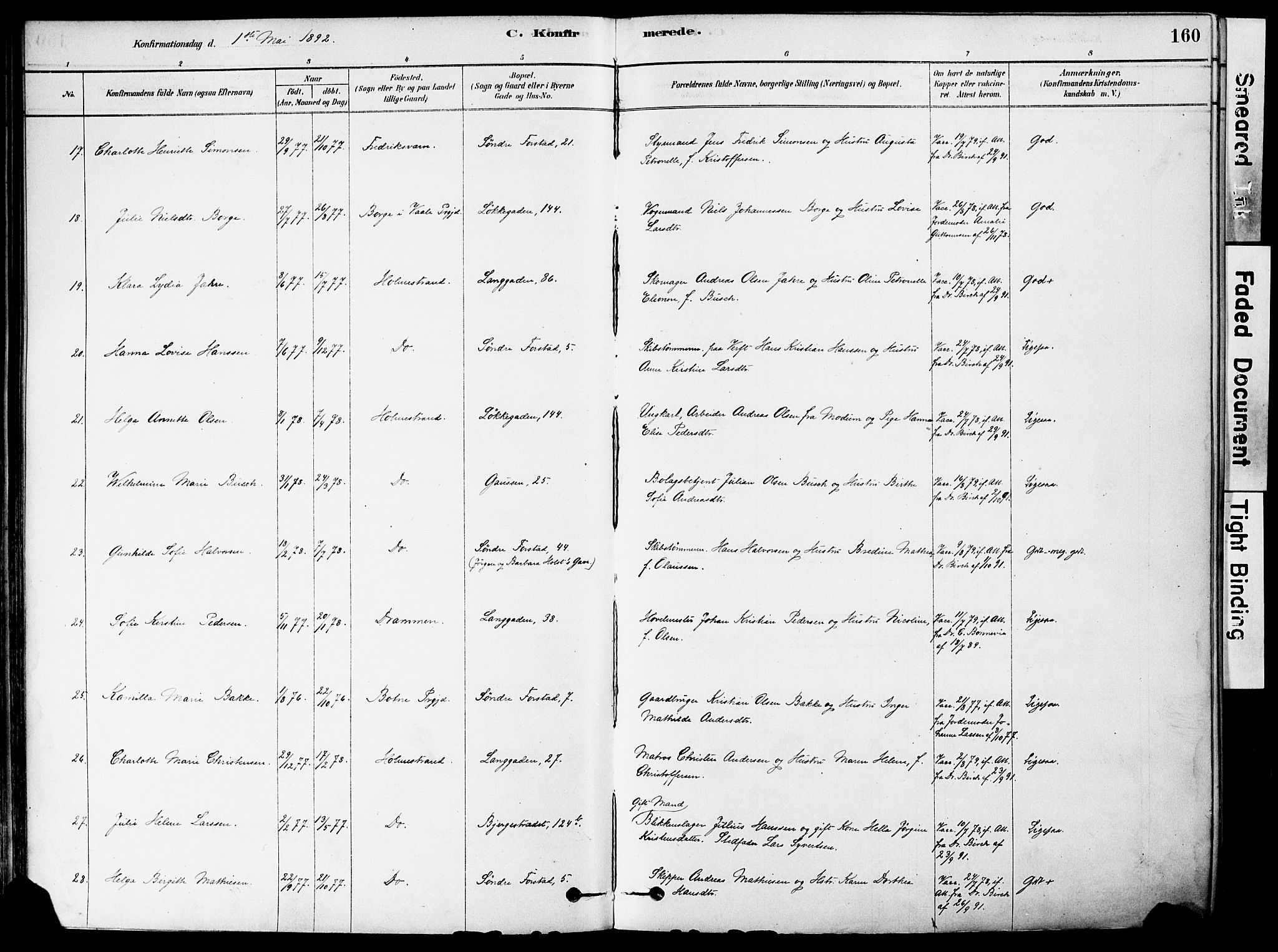 Holmestrand kirkebøker, AV/SAKO-A-346/F/Fa/L0004: Parish register (official) no. 4, 1880-1901, p. 160