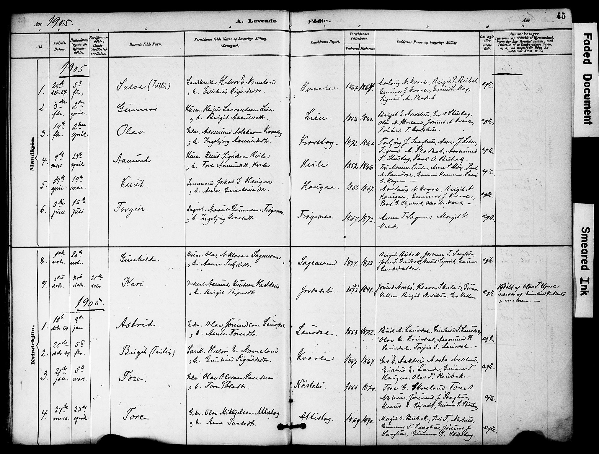 Bygland sokneprestkontor, SAK/1111-0006/F/Fa/Fab/L0007: Parish register (official) no. A 7, 1885-1909, p. 45