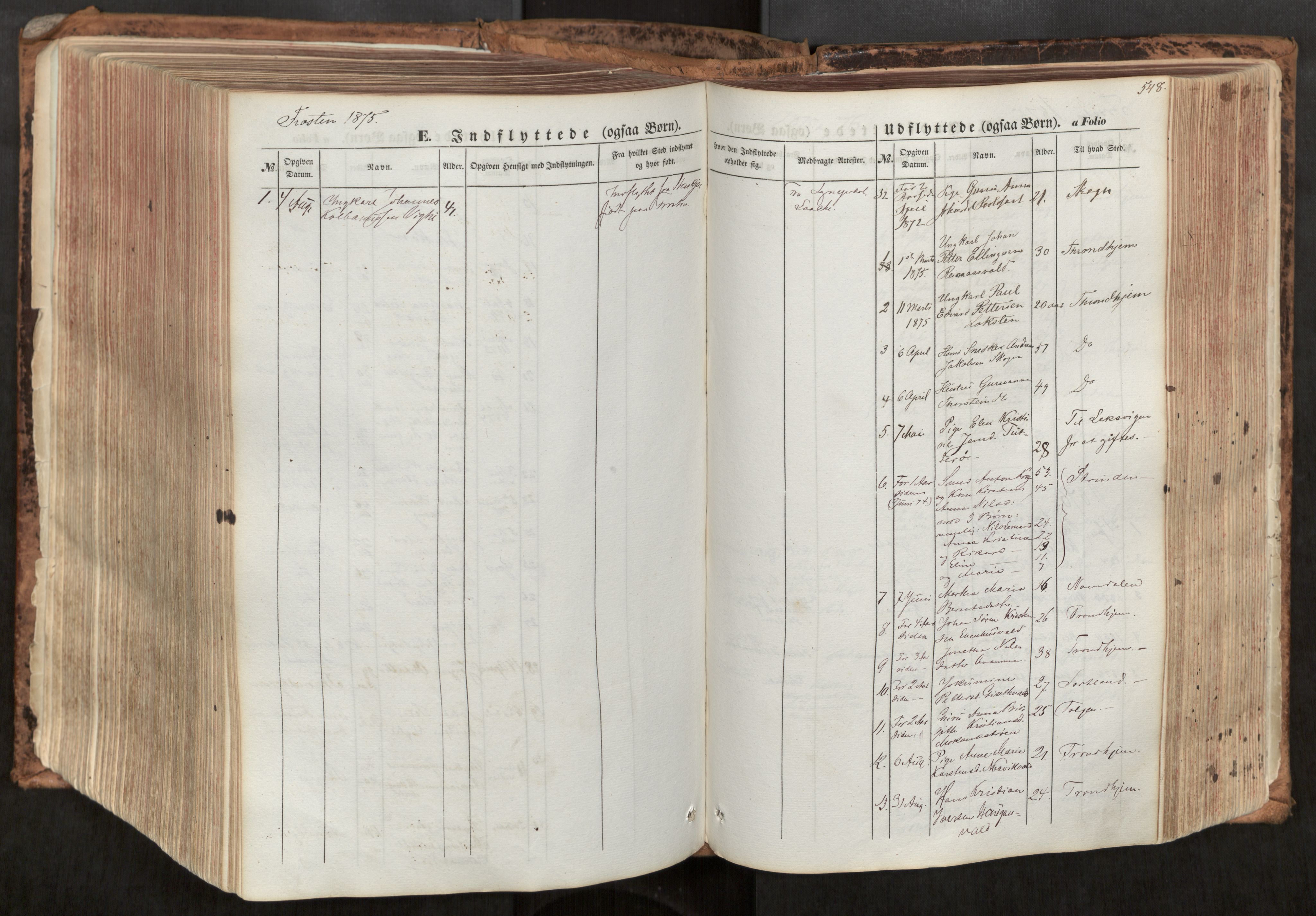 Ministerialprotokoller, klokkerbøker og fødselsregistre - Nord-Trøndelag, AV/SAT-A-1458/713/L0116: Parish register (official) no. 713A07, 1850-1877, p. 548