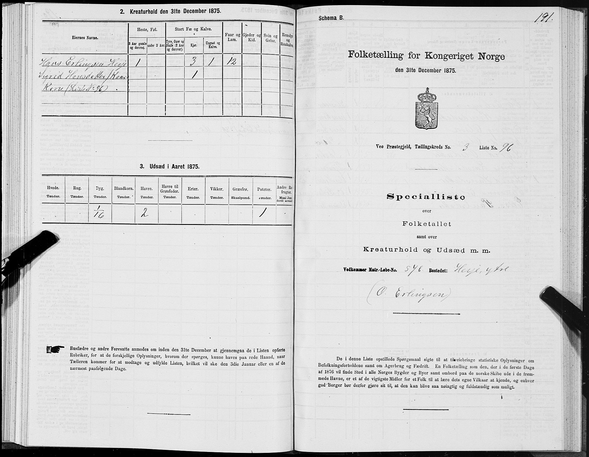 SAT, 1875 census for 1541P Veøy, 1875, p. 2191