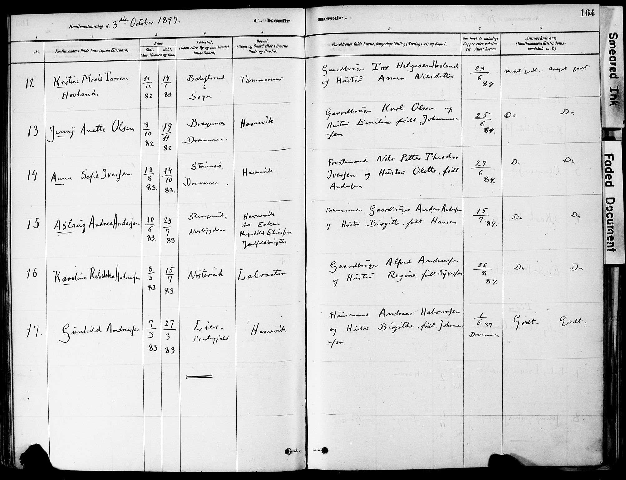 Strømm kirkebøker, AV/SAKO-A-322/F/Fa/L0004: Parish register (official) no. I 4, 1878-1899, p. 164