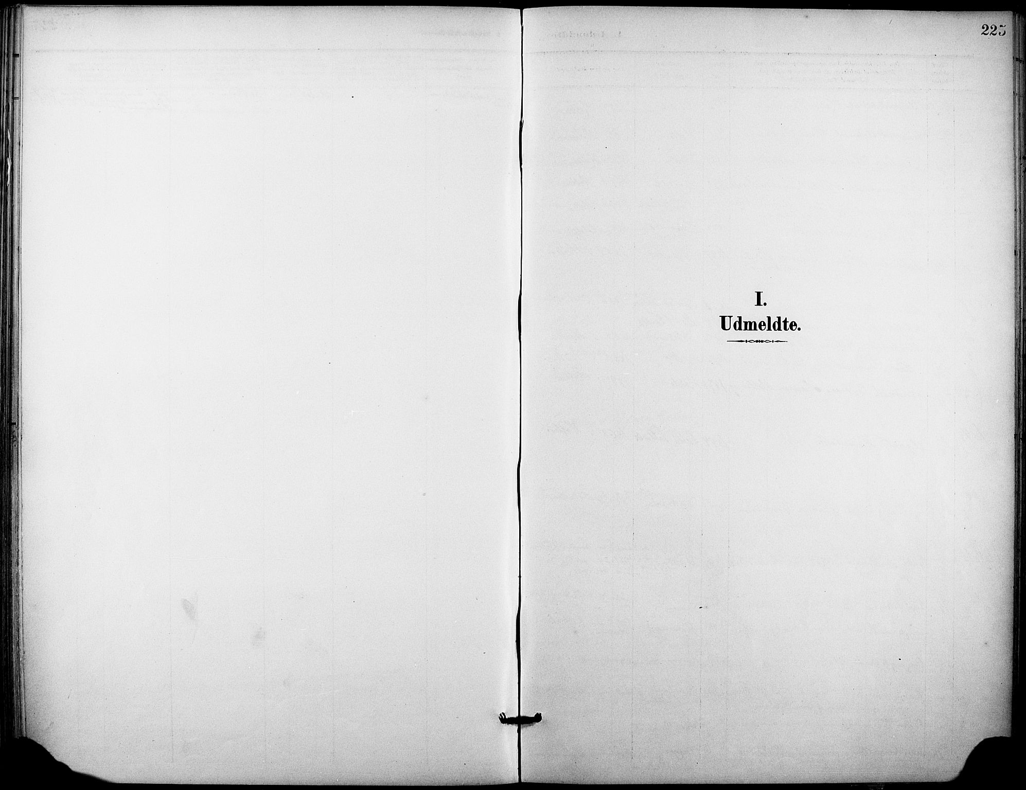 Holla kirkebøker, SAKO/A-272/F/Fa/L0010: Parish register (official) no. 10, 1897-1907, p. 225