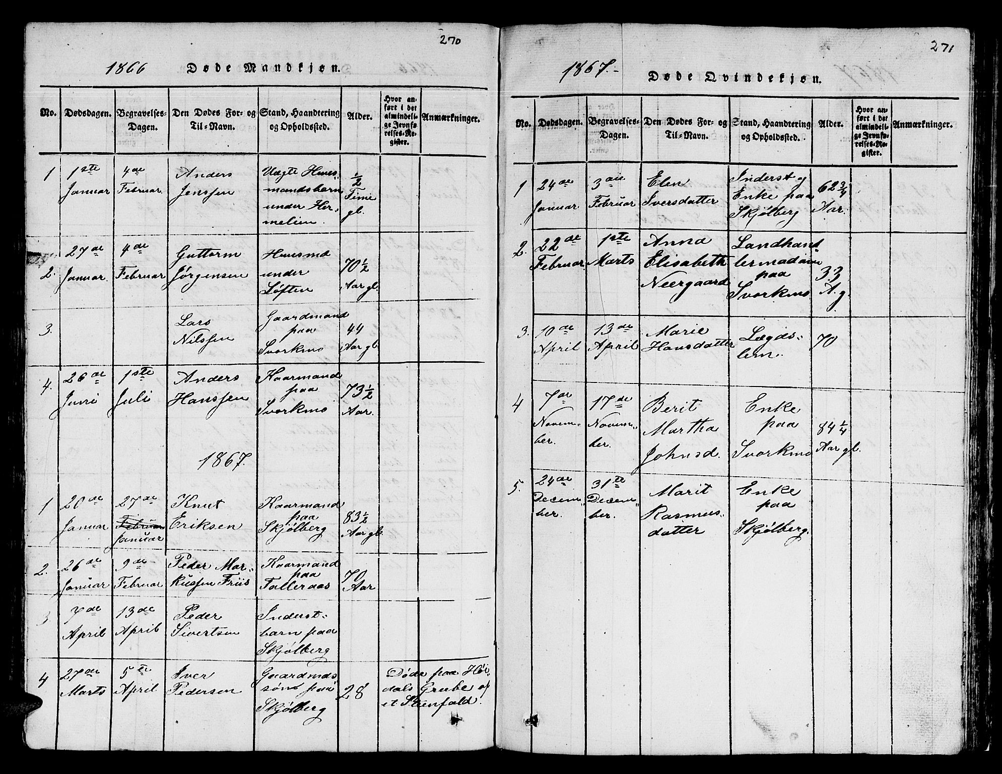 Ministerialprotokoller, klokkerbøker og fødselsregistre - Sør-Trøndelag, AV/SAT-A-1456/671/L0842: Parish register (copy) no. 671C01, 1816-1867, p. 270-271