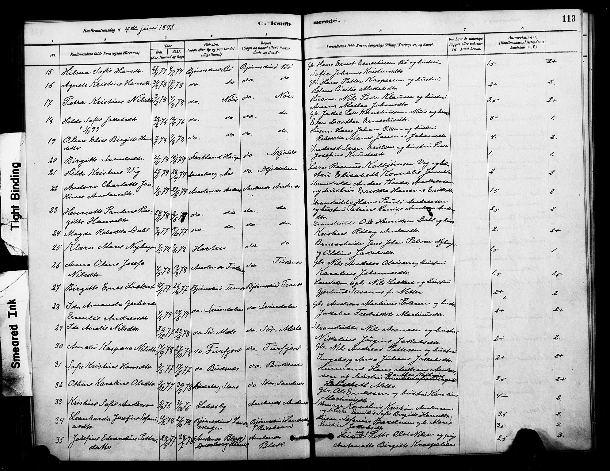 Ministerialprotokoller, klokkerbøker og fødselsregistre - Nordland, AV/SAT-A-1459/897/L1399: Parish register (official) no. 897C06, 1881-1896, p. 113