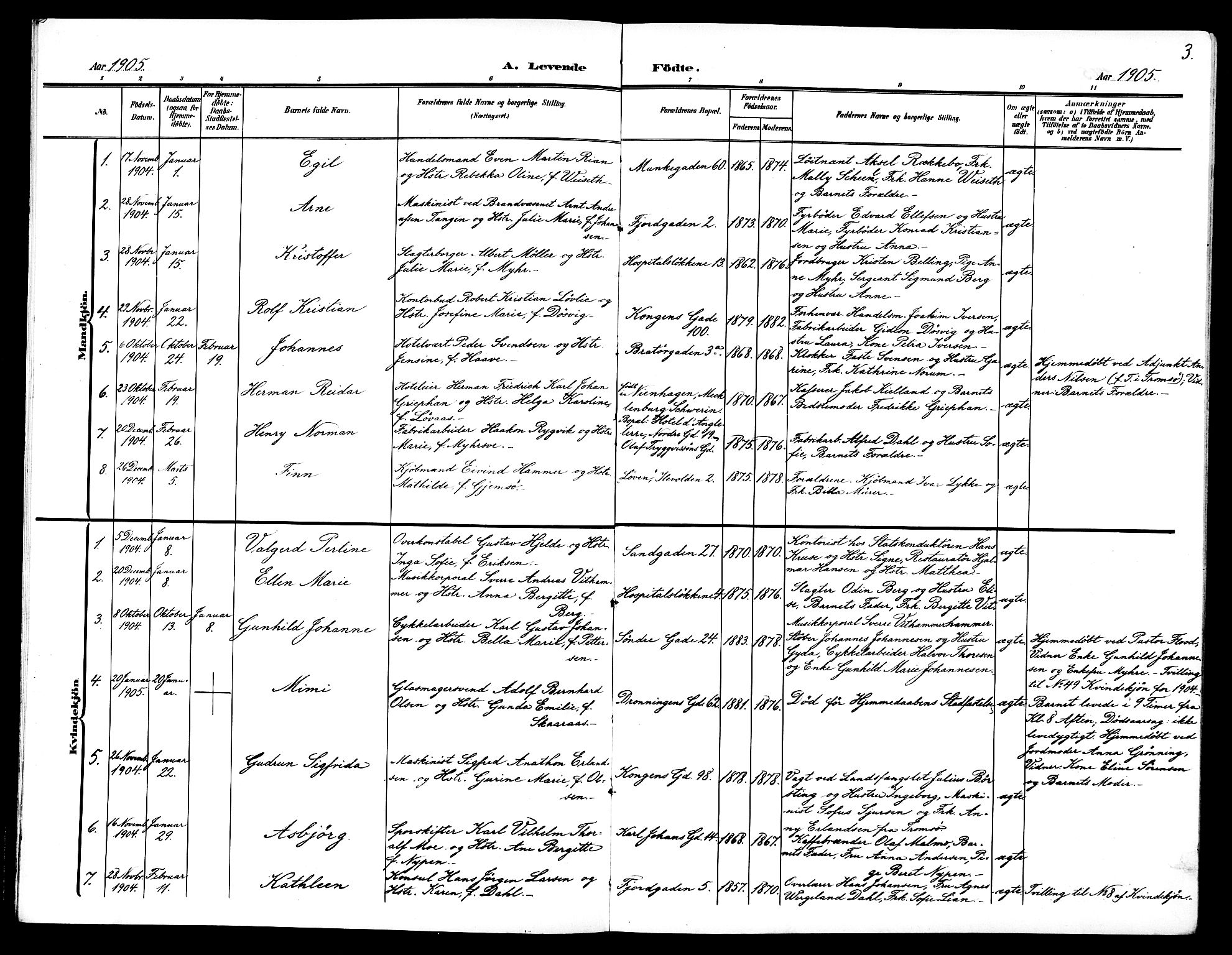 Ministerialprotokoller, klokkerbøker og fødselsregistre - Sør-Trøndelag, SAT/A-1456/602/L0146: Parish register (copy) no. 602C14, 1904-1914, p. 3