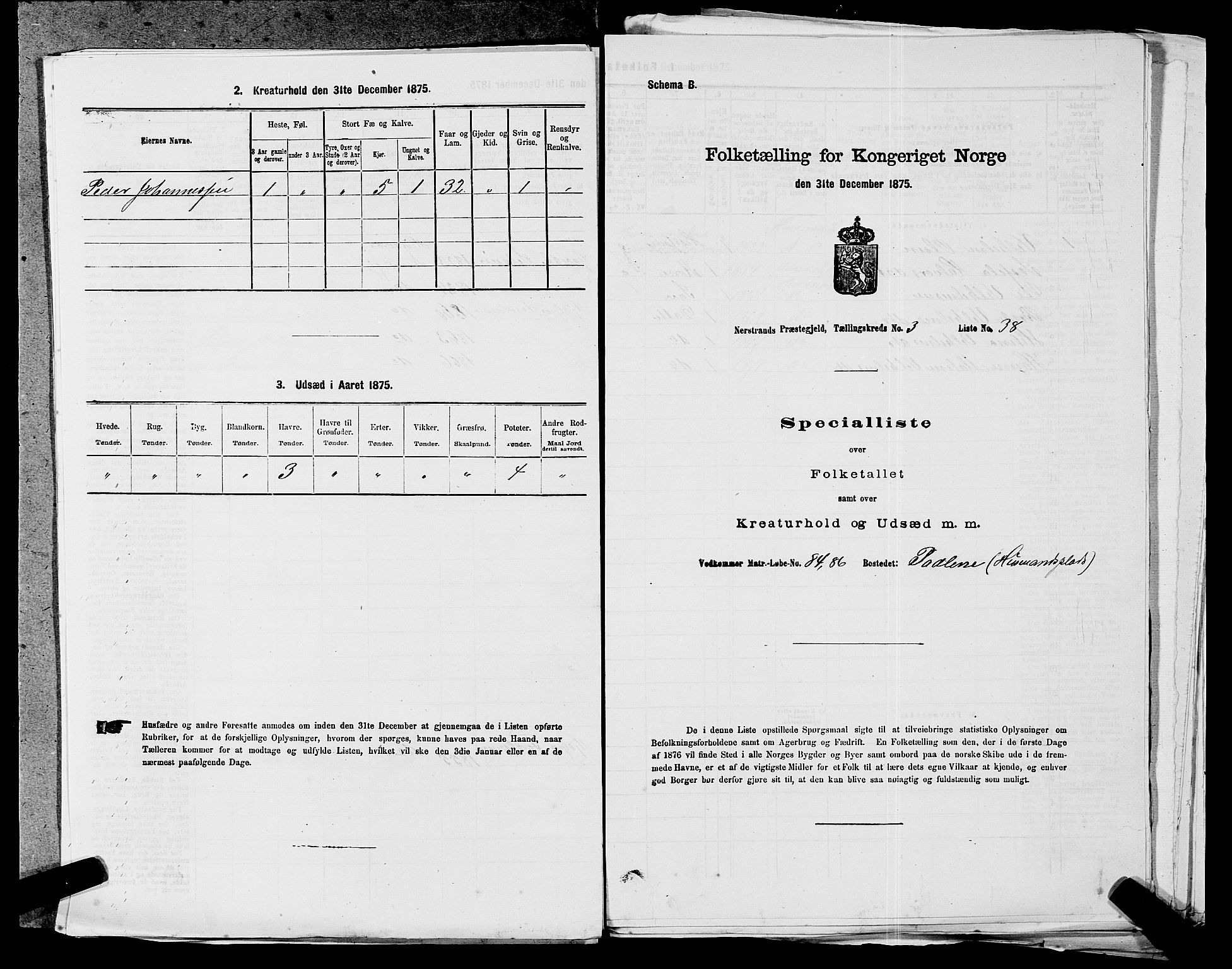 SAST, 1875 census for 1139P Nedstrand, 1875, p. 522