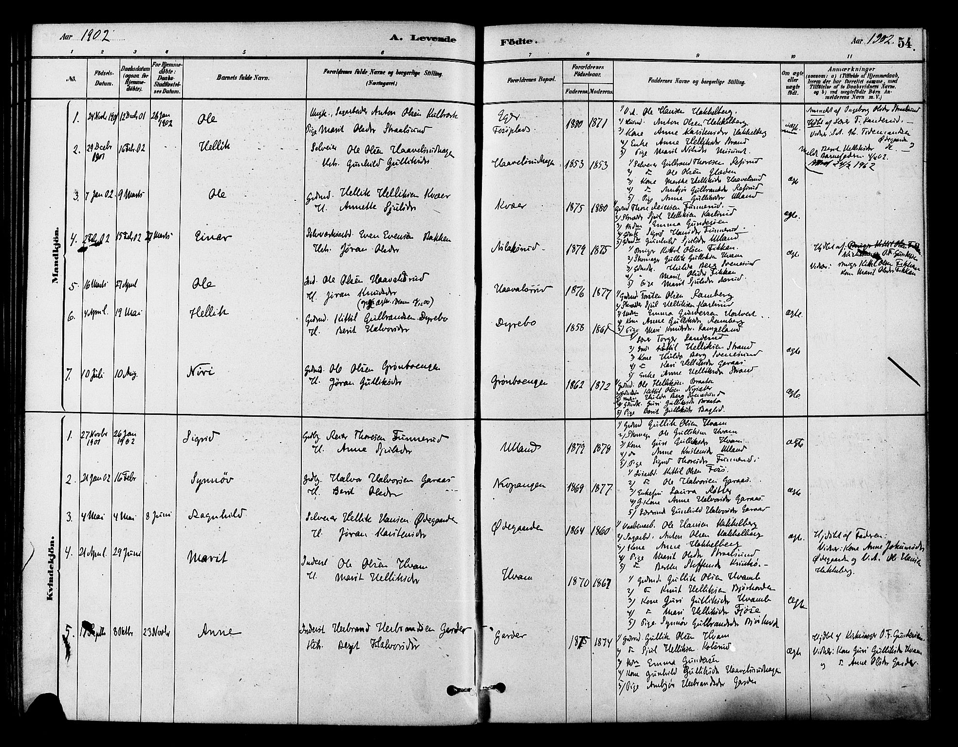 Flesberg kirkebøker, AV/SAKO-A-18/F/Fb/L0001: Parish register (official) no. II 1, 1879-1907, p. 54