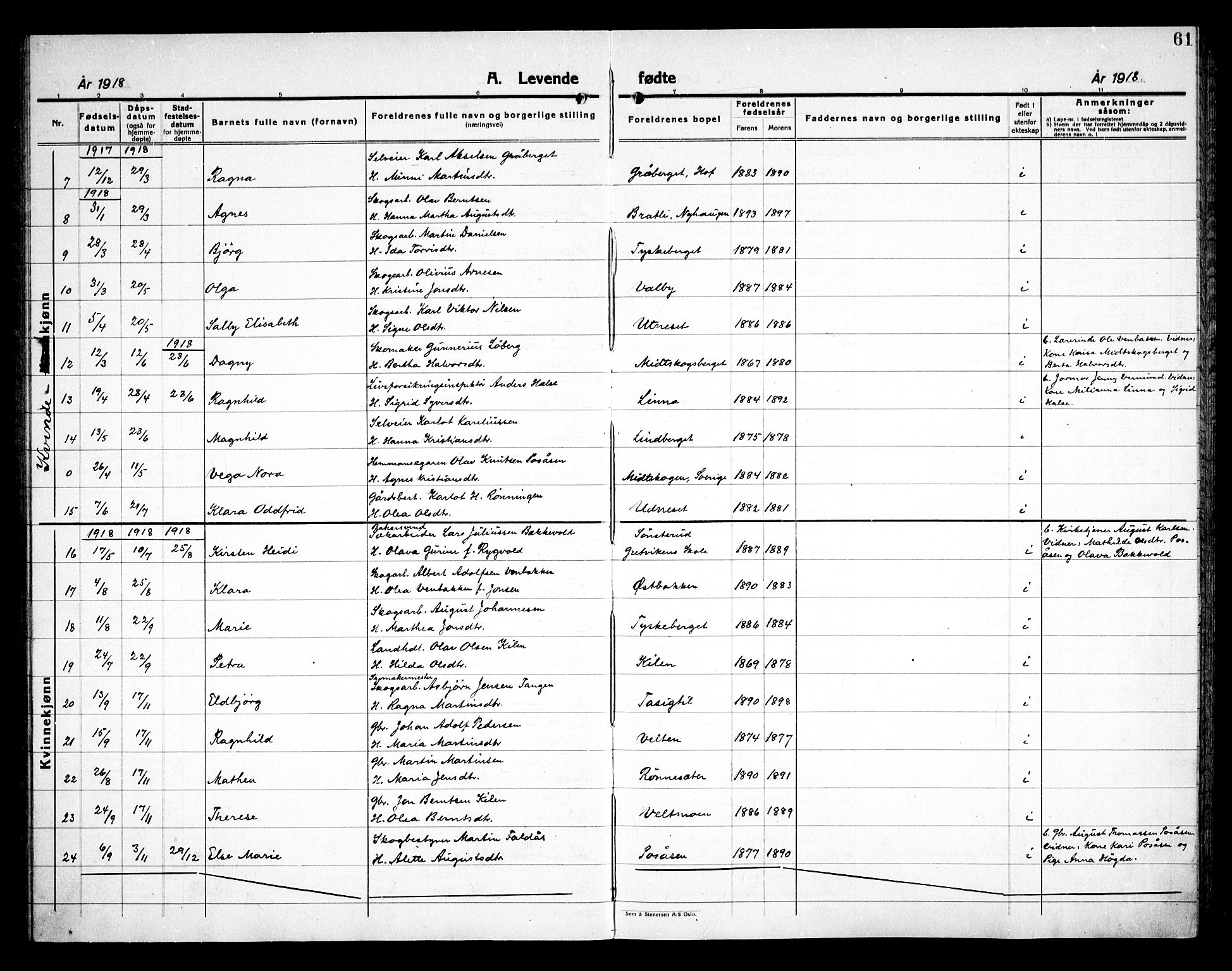 Åsnes prestekontor, AV/SAH-PREST-042/H/Ha/Haa/L0000E: Parish register (official) no. 0C, 1890-1929, p. 61