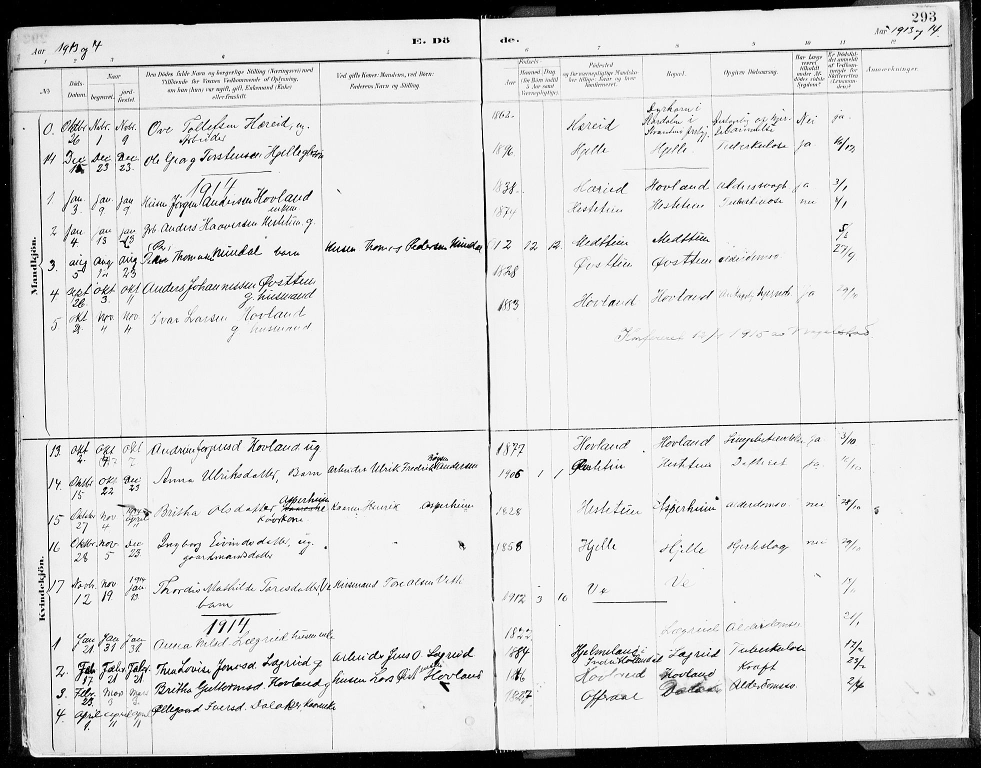 Årdal sokneprestembete, SAB/A-81701: Parish register (official) no. A 5, 1887-1917, p. 293
