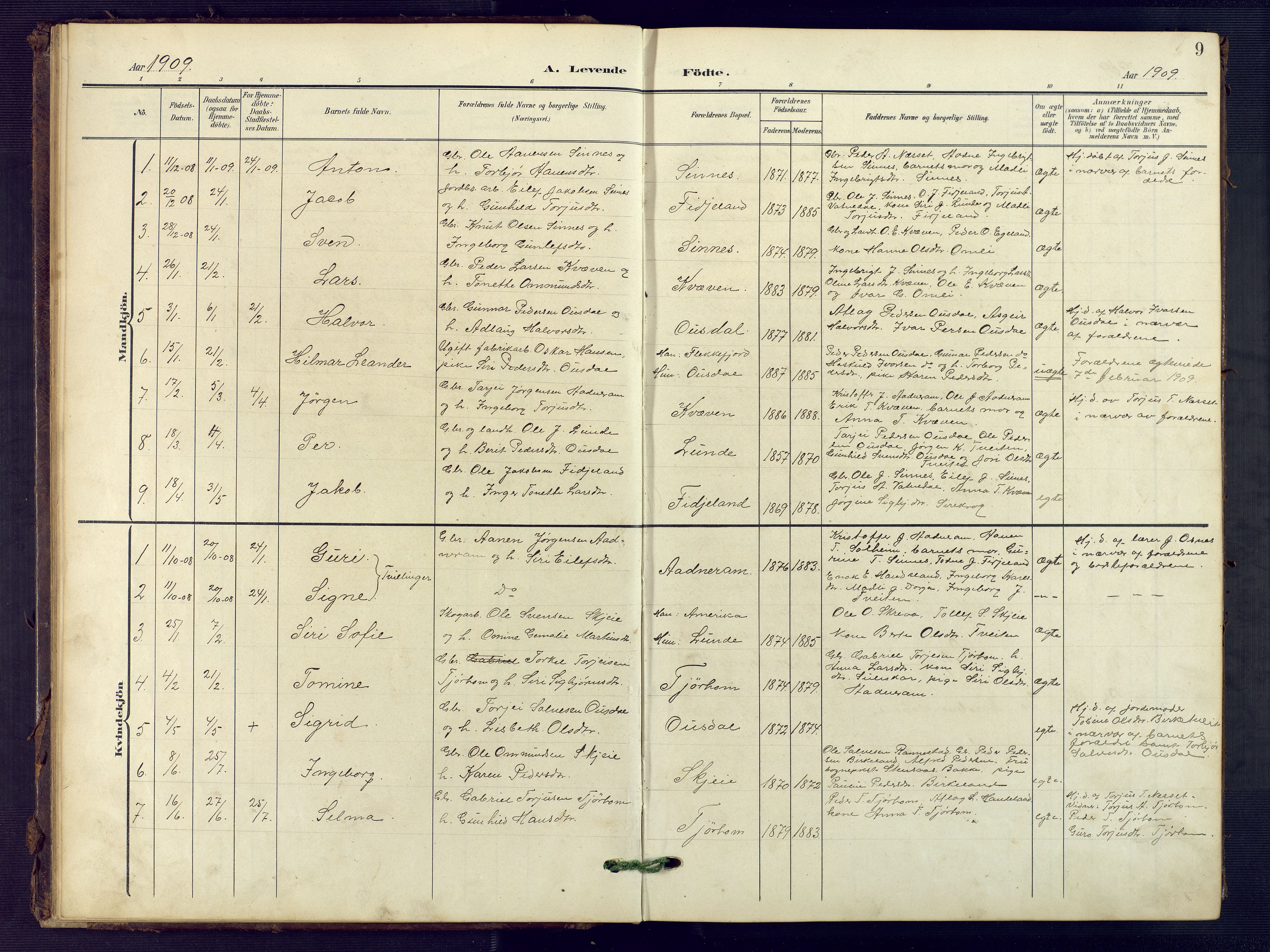Sirdal sokneprestkontor, SAK/1111-0036/F/Fb/Fba/L0002: Parish register (copy) no. B 2, 1905-1958, p. 9