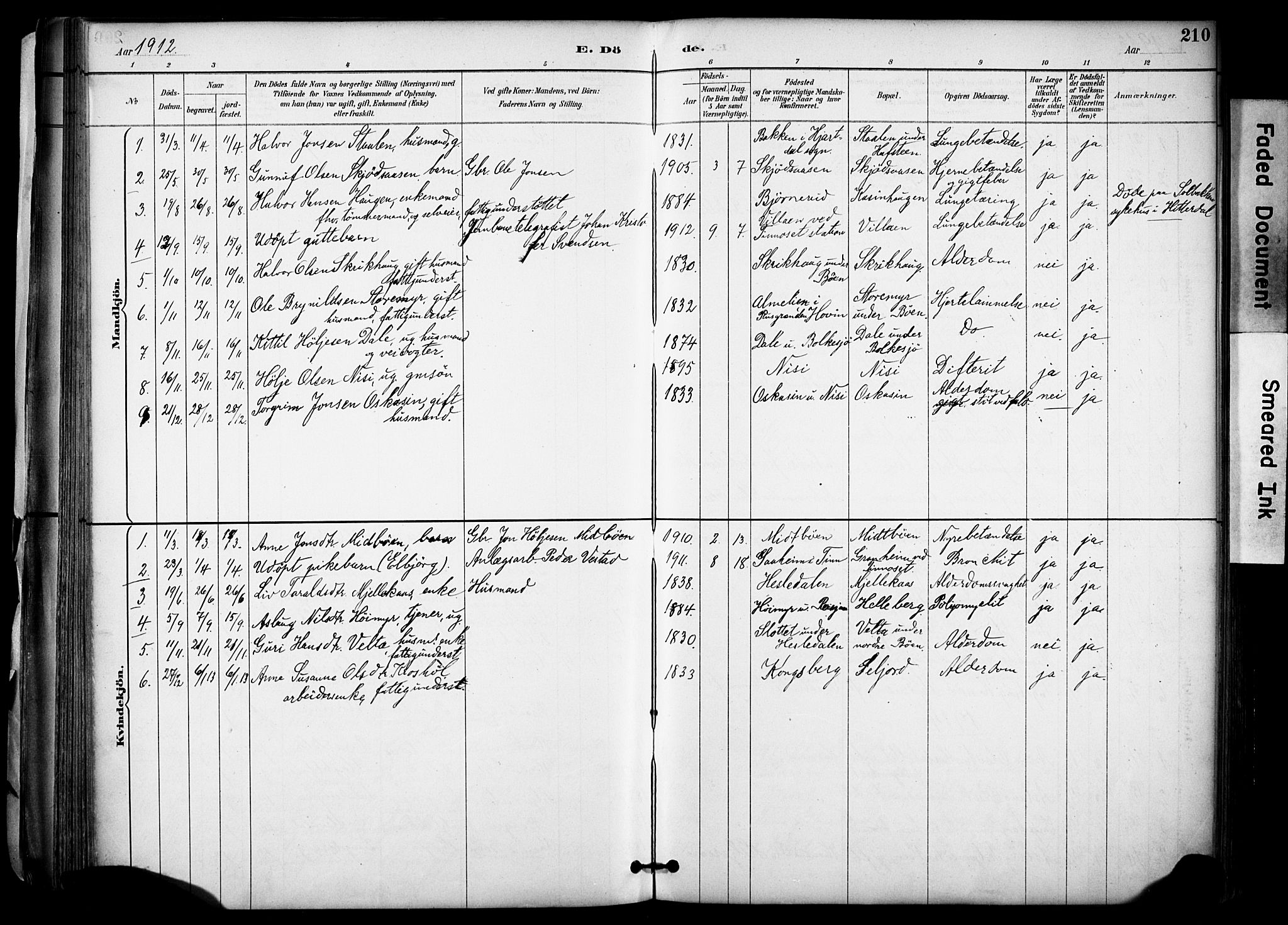 Gransherad kirkebøker, SAKO/A-267/F/Fa/L0005: Parish register (official) no. I 5, 1887-1916, p. 210