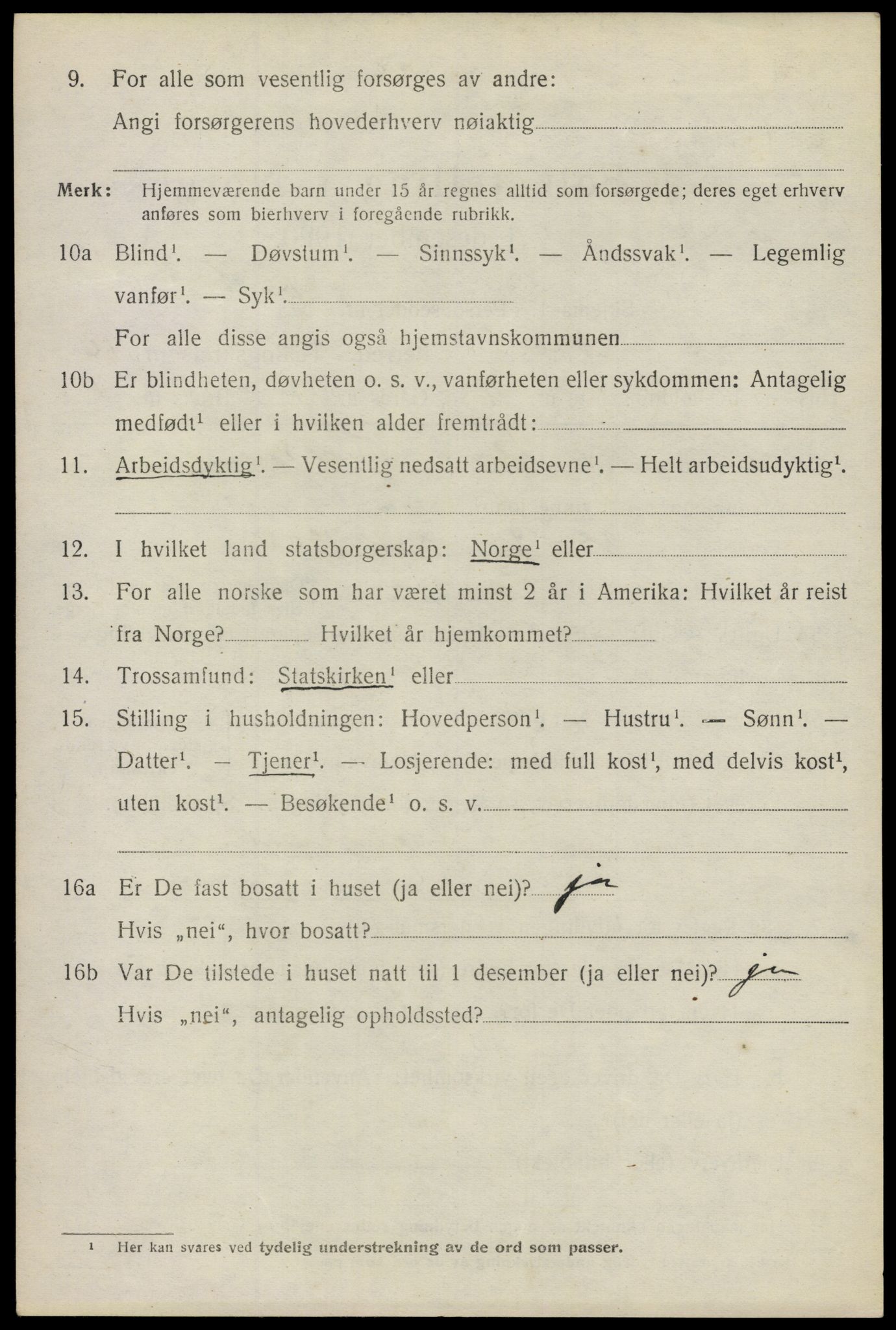 SAO, 1920 census for Nes, 1920, p. 15691