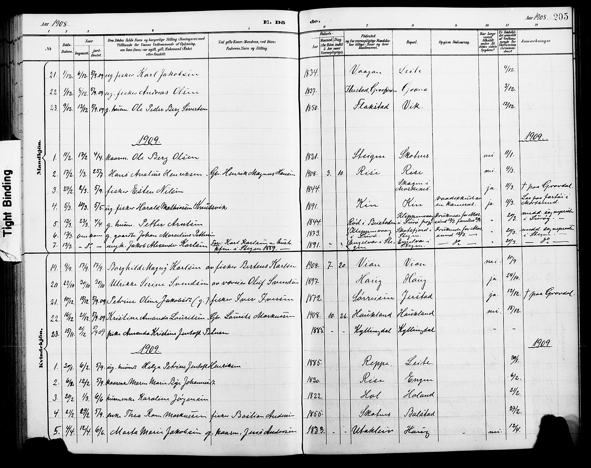 Ministerialprotokoller, klokkerbøker og fødselsregistre - Nordland, AV/SAT-A-1459/881/L1168: Parish register (copy) no. 881C05, 1900-1911, p. 205