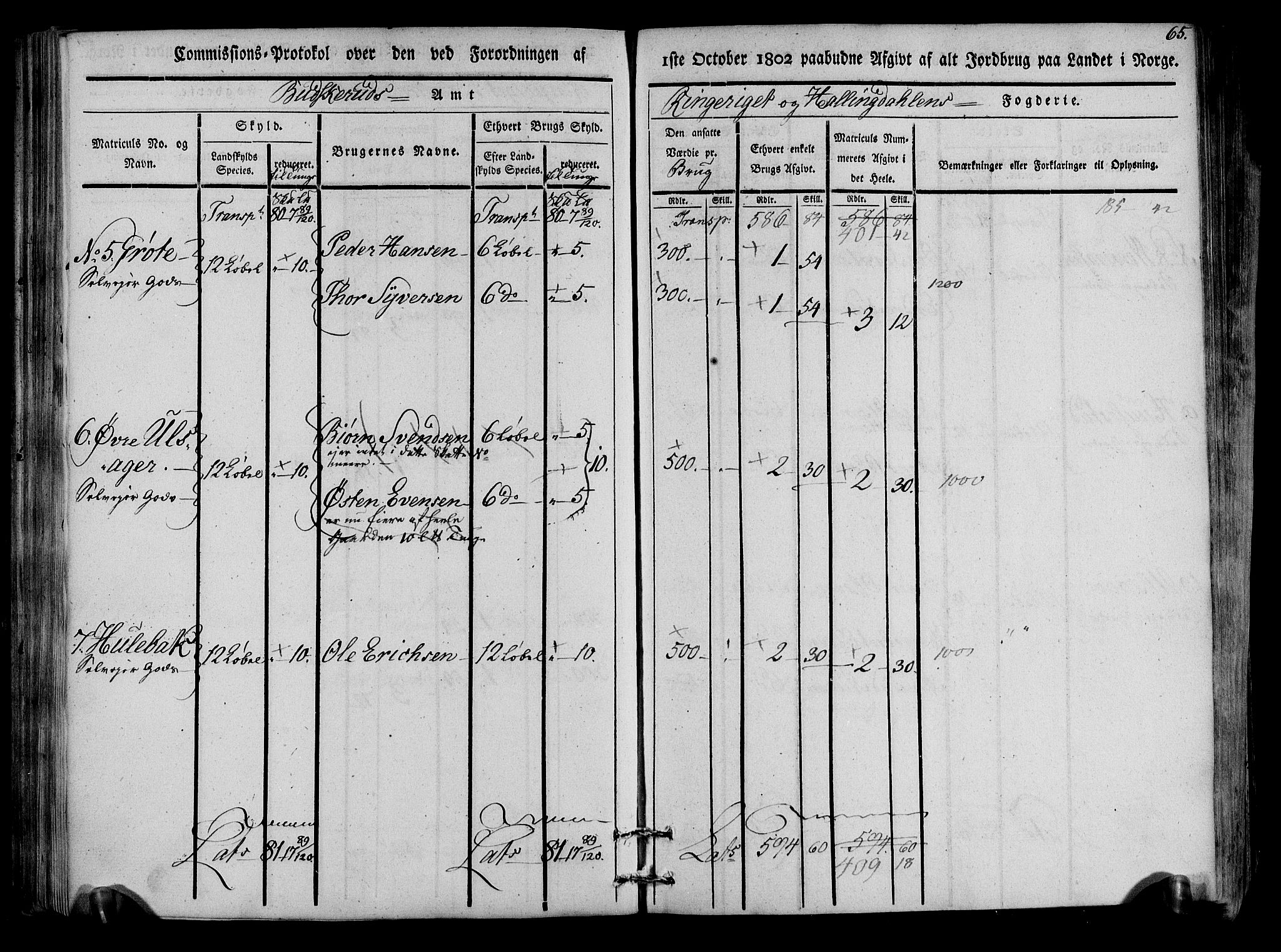 Rentekammeret inntil 1814, Realistisk ordnet avdeling, RA/EA-4070/N/Ne/Nea/L0047: Ringerike og Hallingdal fogderi. Kommisjonsprotokoll for Nes prestegjeld, 1803, p. 67