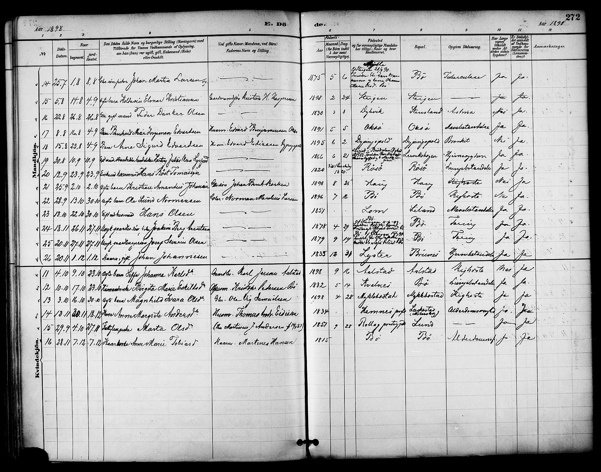 Ministerialprotokoller, klokkerbøker og fødselsregistre - Nordland, AV/SAT-A-1459/855/L0803: Parish register (official) no. 855A11, 1887-1905, p. 272