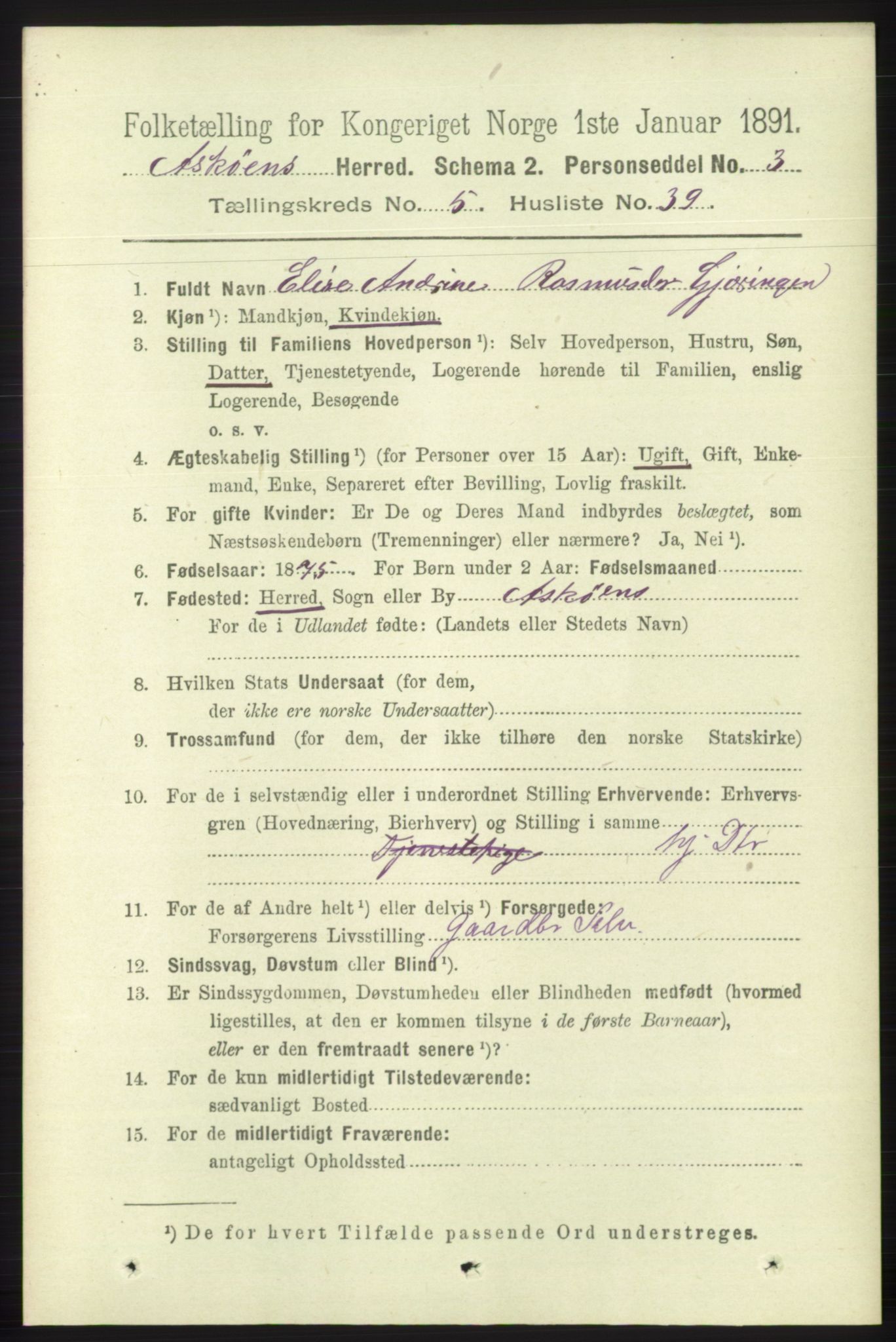 RA, 1891 census for 1247 Askøy, 1891, p. 3734