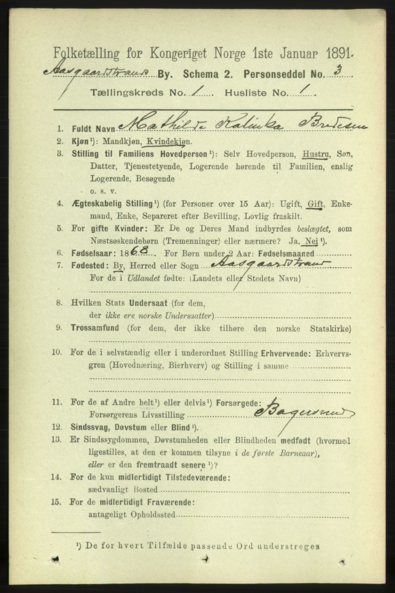 RA, 1891 census for 0704 Åsgårdstrand, 1891, p. 208