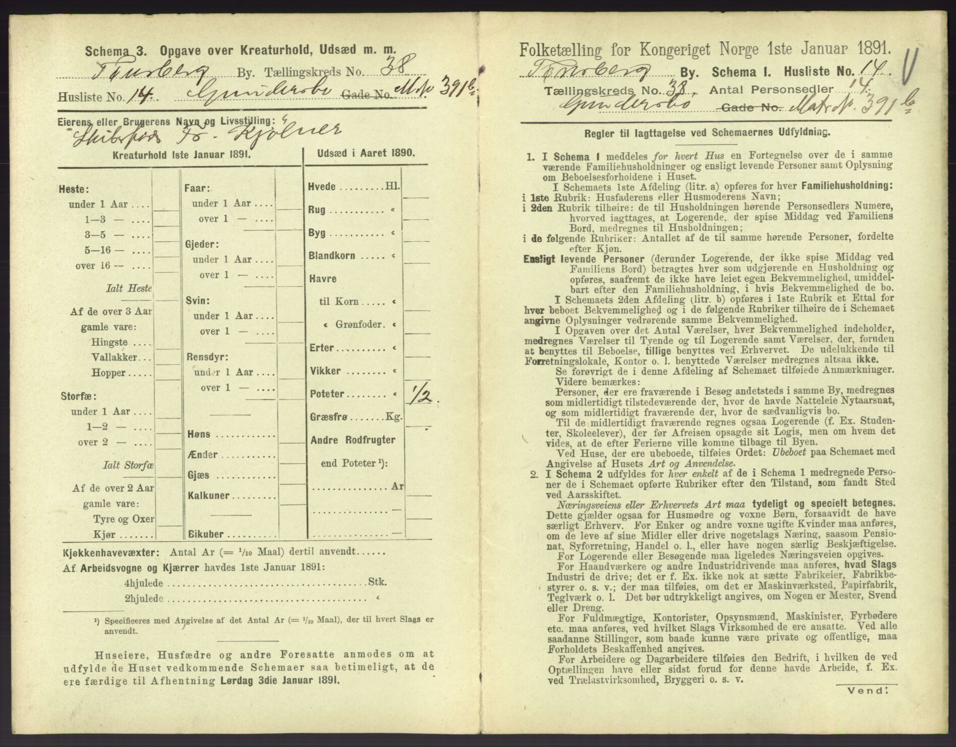 RA, 1891 census for 0705 Tønsberg, 1891, p. 1100