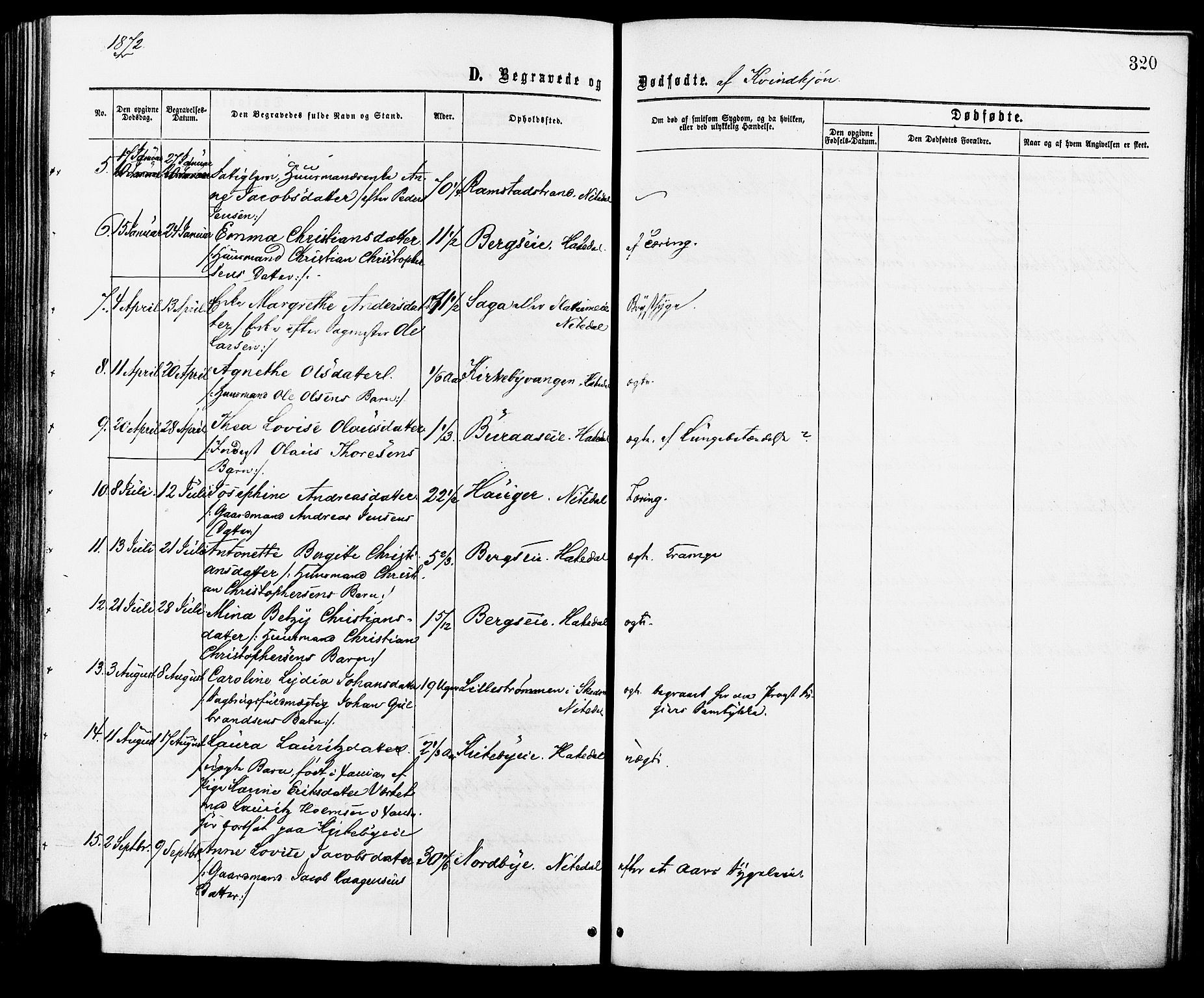 Nittedal prestekontor Kirkebøker, AV/SAO-A-10365a/F/Fa/L0006: Parish register (official) no. I 6, 1863-1878, p. 320