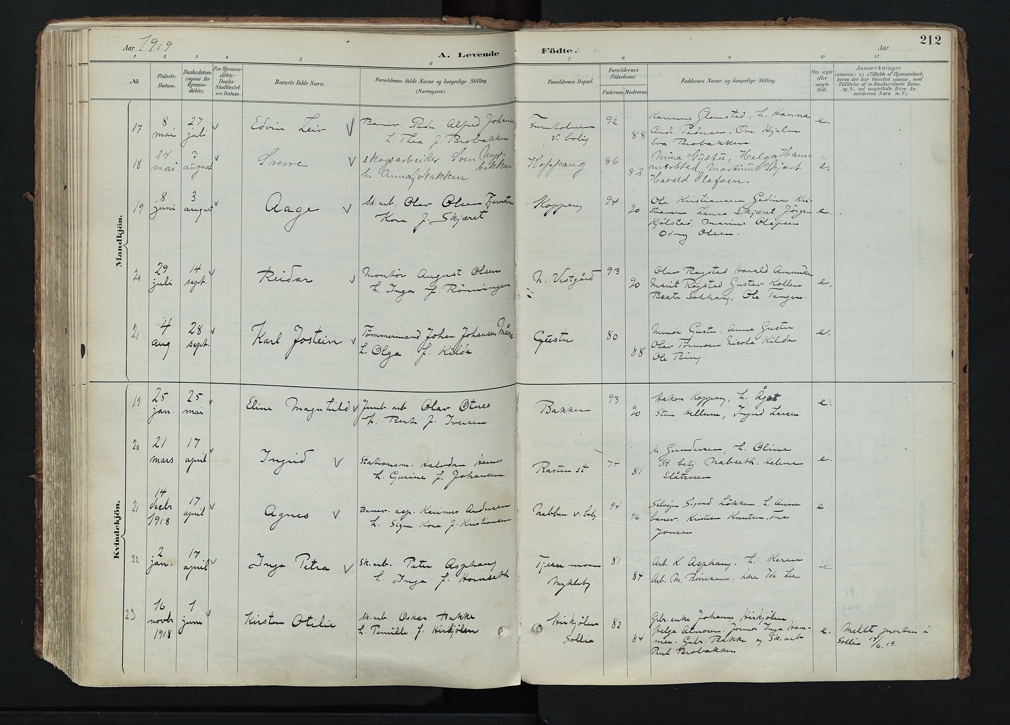 Stor-Elvdal prestekontor, AV/SAH-PREST-052/H/Ha/Haa/L0004: Parish register (official) no. 4, 1890-1922, p. 212