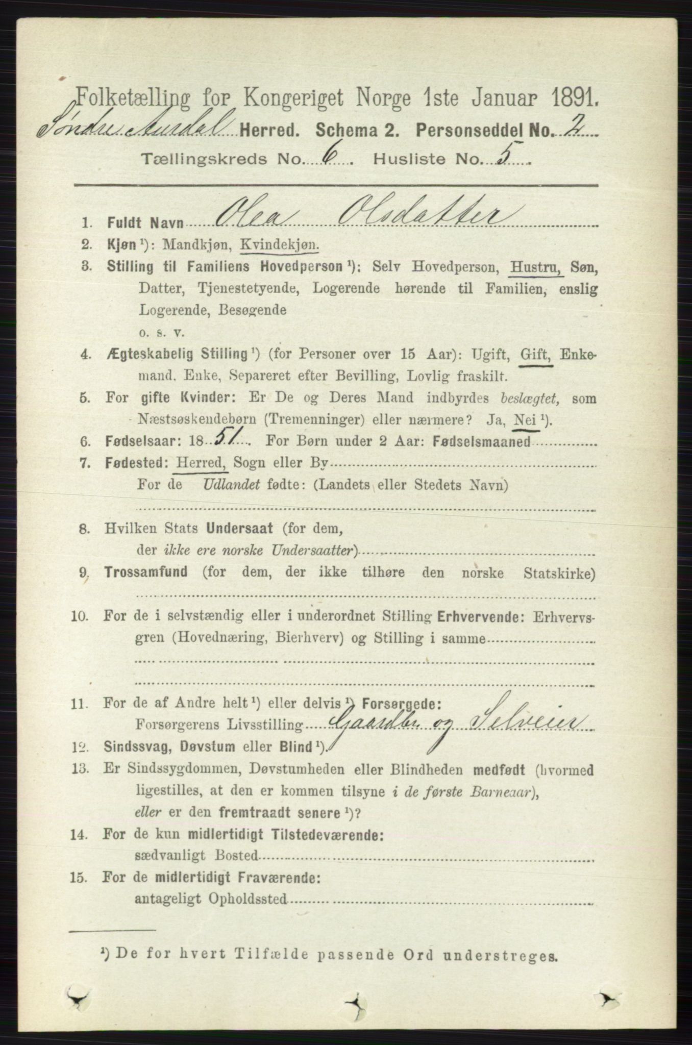 RA, 1891 census for 0540 Sør-Aurdal, 1891, p. 3825