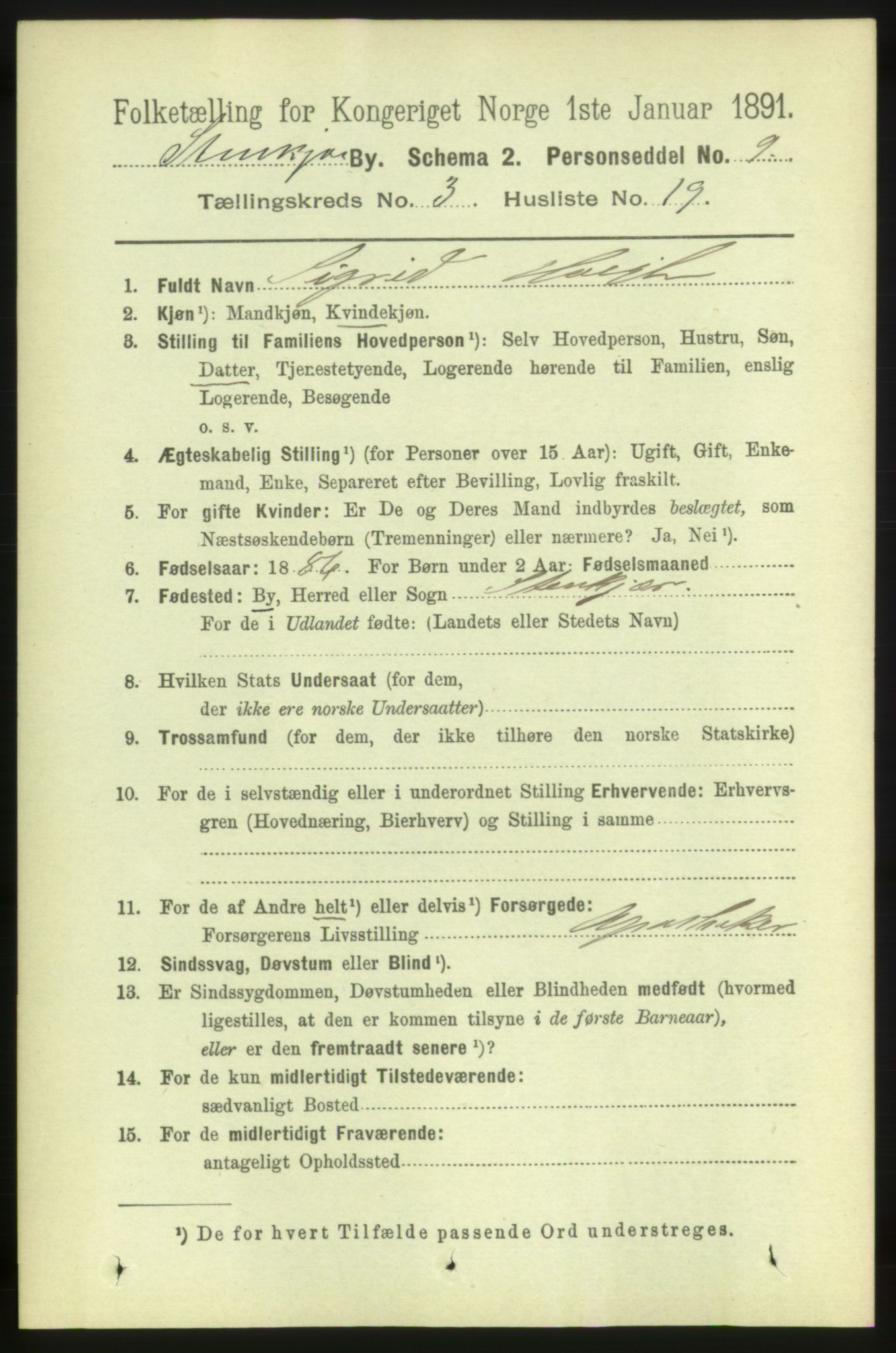 RA, 1891 census for 1702 Steinkjer, 1891, p. 1021