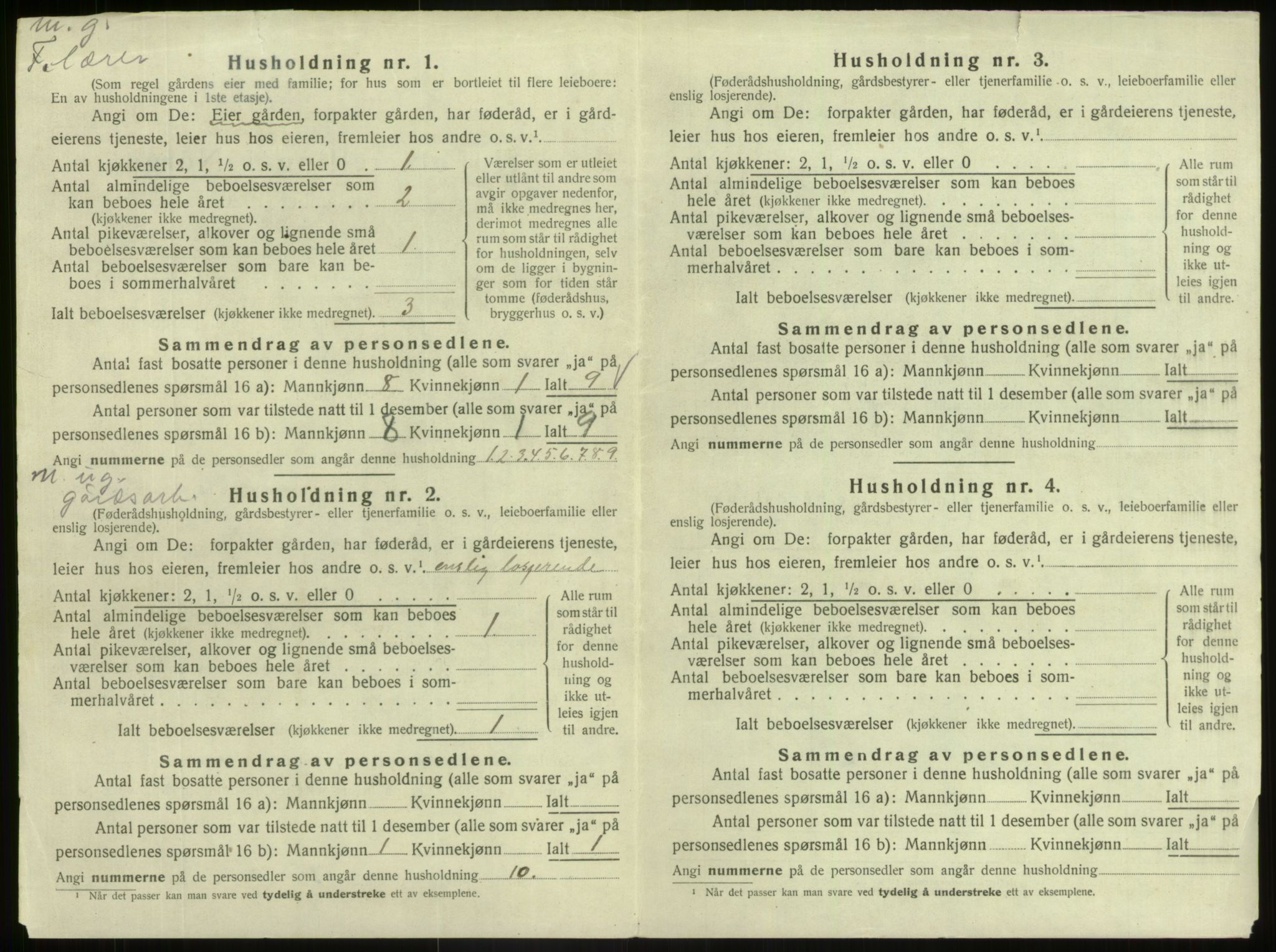 SAB, 1920 census for Hafslo, 1920, p. 868