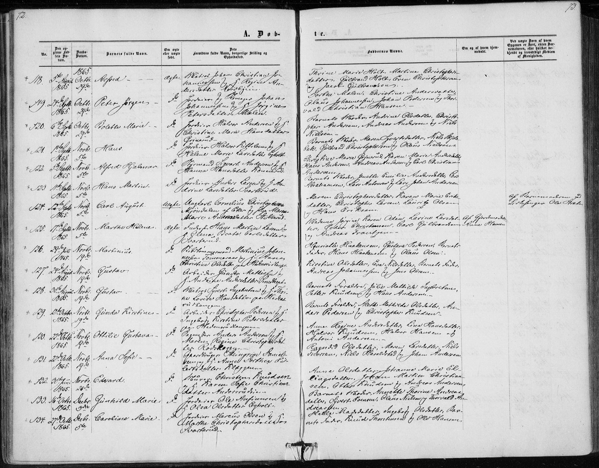 Skoger kirkebøker, AV/SAKO-A-59/F/Fa/L0004: Parish register (official) no. I 4, 1862-1872, p. 72-73