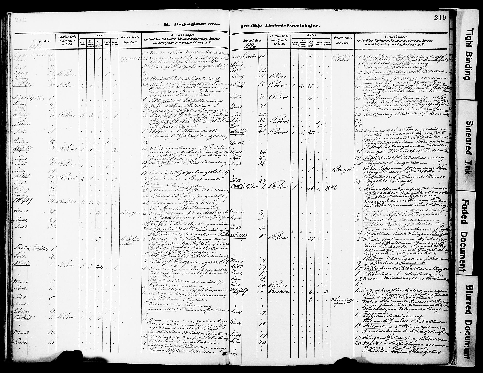 Ministerialprotokoller, klokkerbøker og fødselsregistre - Sør-Trøndelag, AV/SAT-A-1456/681/L0935: Parish register (official) no. 681A13, 1890-1898, p. 219