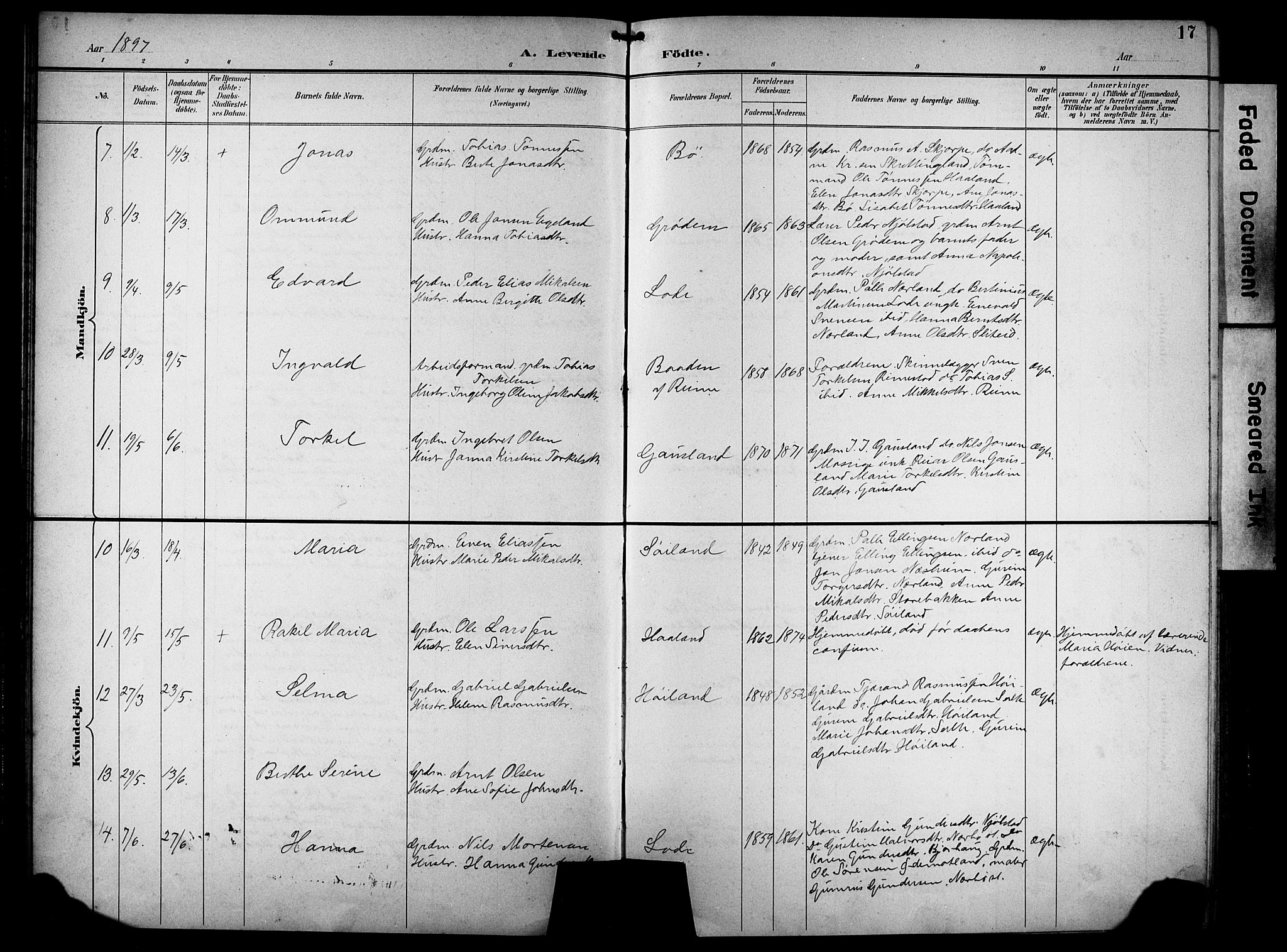 Hå sokneprestkontor, AV/SAST-A-101801/001/30BB/L0005: Parish register (copy) no. B 5, 1894-1912, p. 17