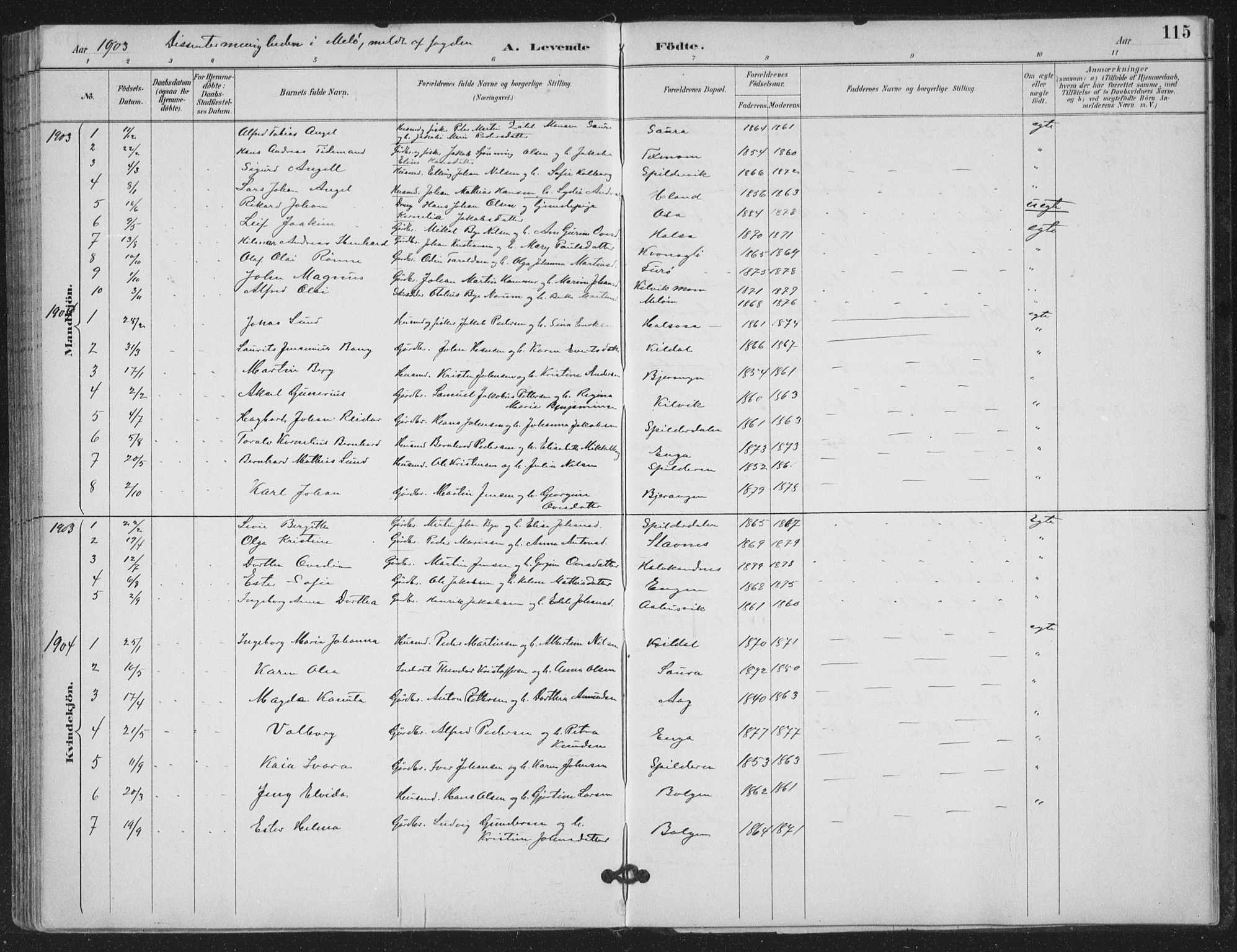 Ministerialprotokoller, klokkerbøker og fødselsregistre - Nordland, SAT/A-1459/843/L0628: Parish register (official) no. 843A03, 1889-1907, p. 115