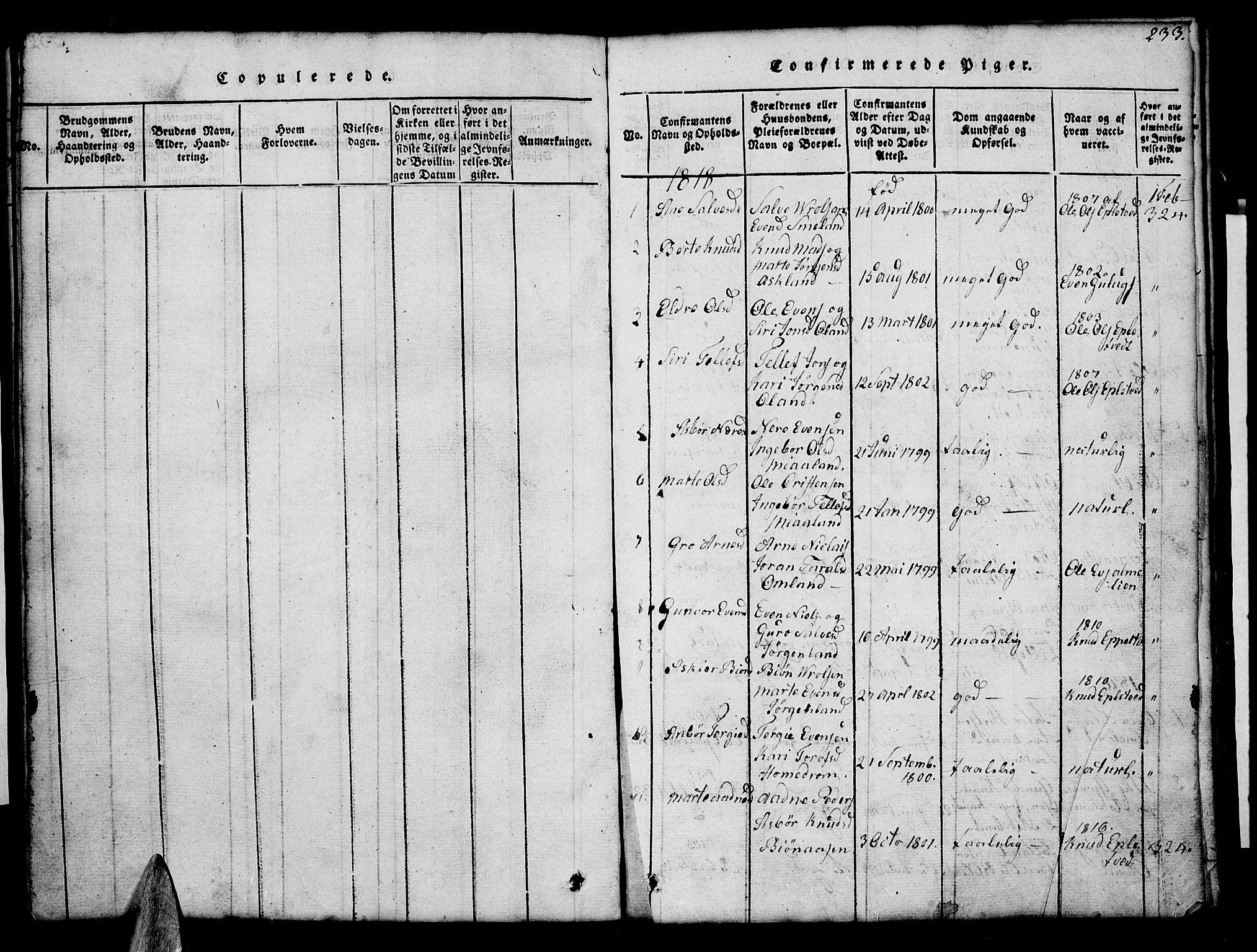 Åmli sokneprestkontor, SAK/1111-0050/F/Fb/Fba/L0001: Parish register (copy) no. B 1, 1816-1890, p. 233