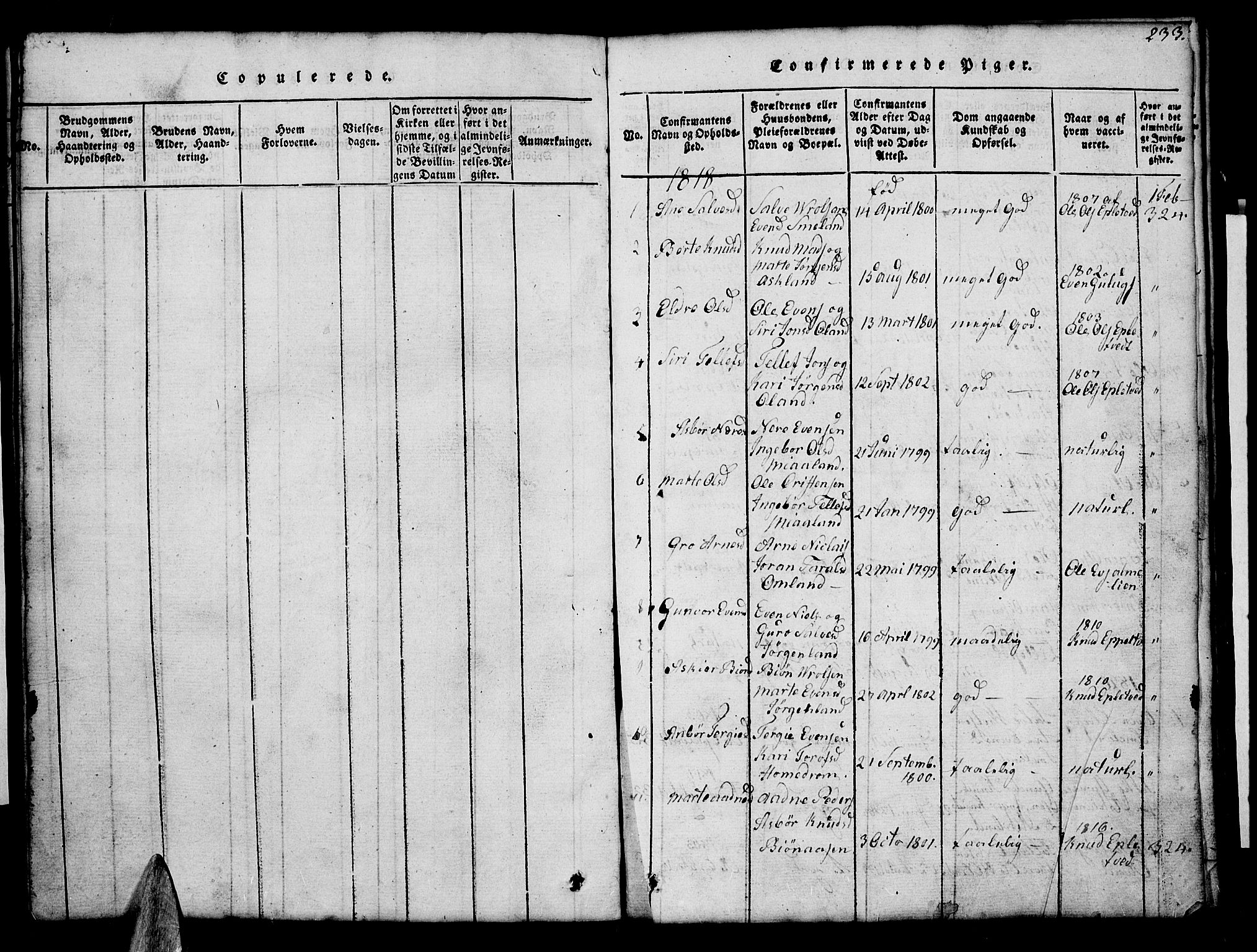 Åmli sokneprestkontor, AV/SAK-1111-0050/F/Fb/Fba/L0001: Parish register (copy) no. B 1, 1816-1890, p. 233