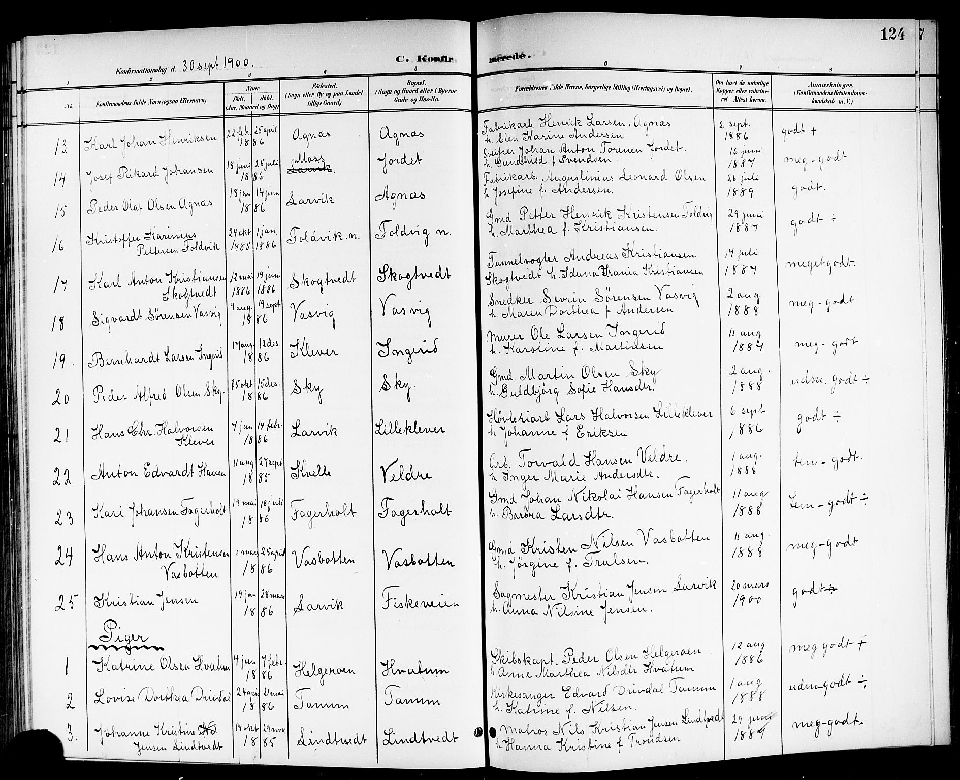 Brunlanes kirkebøker, SAKO/A-342/G/Ga/L0004: Parish register (copy) no. I 4, 1898-1921, p. 124