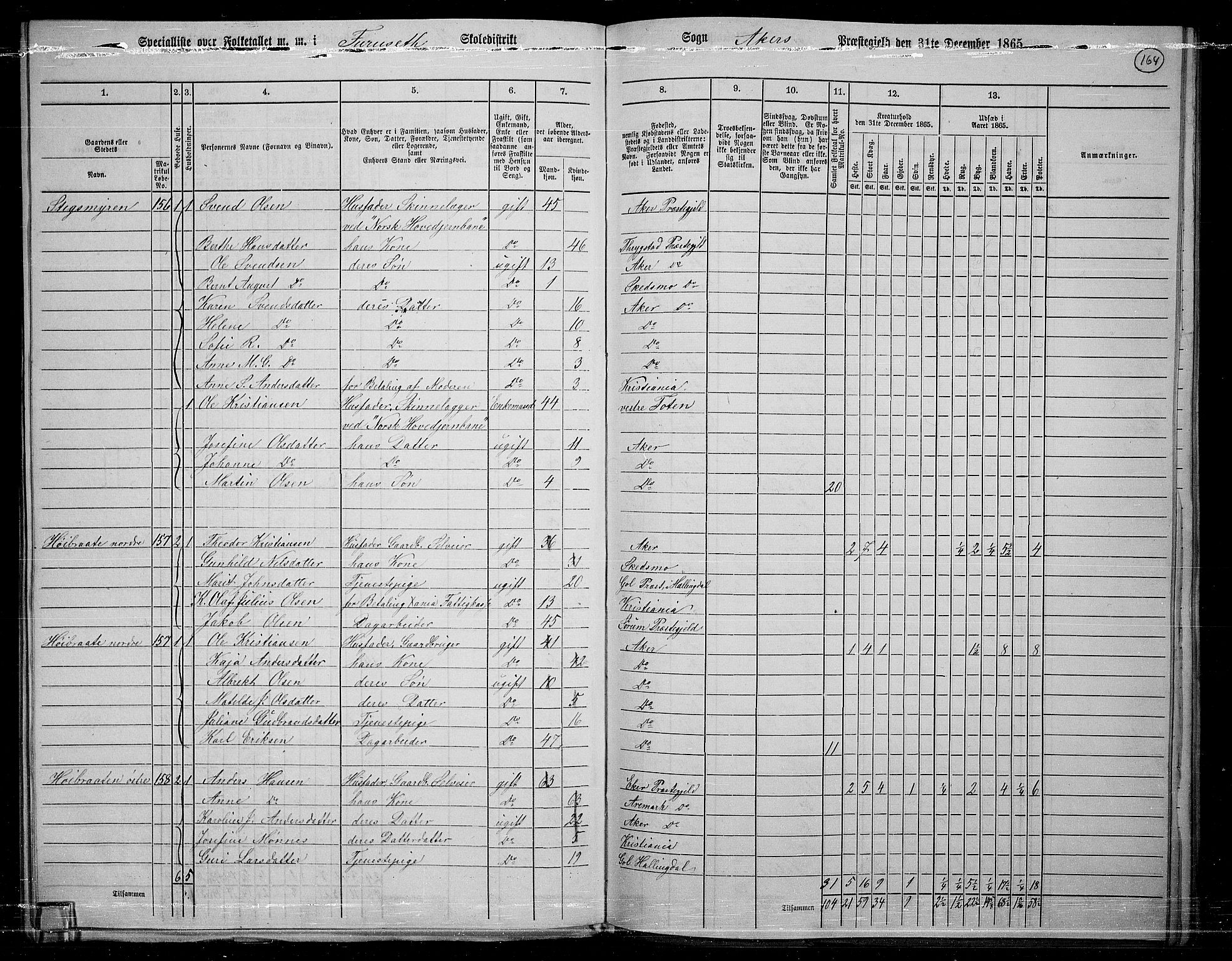 RA, 1865 census for Østre Aker, 1865, p. 153