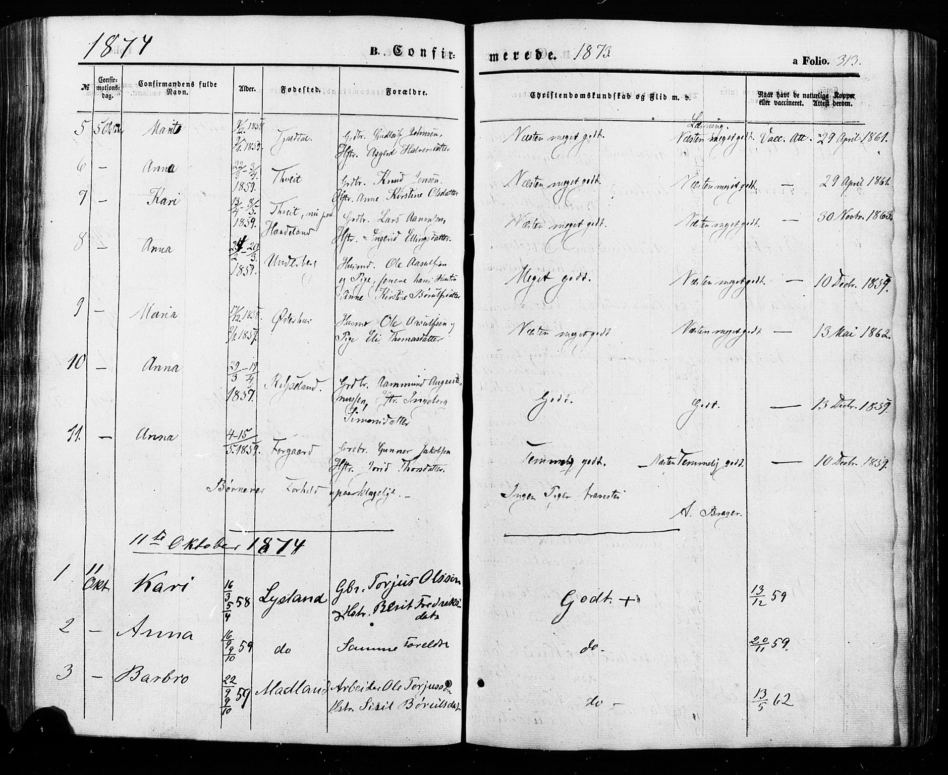 Åseral sokneprestkontor, SAK/1111-0051/F/Fa/L0002: Parish register (official) no. A 2, 1854-1884, p. 313