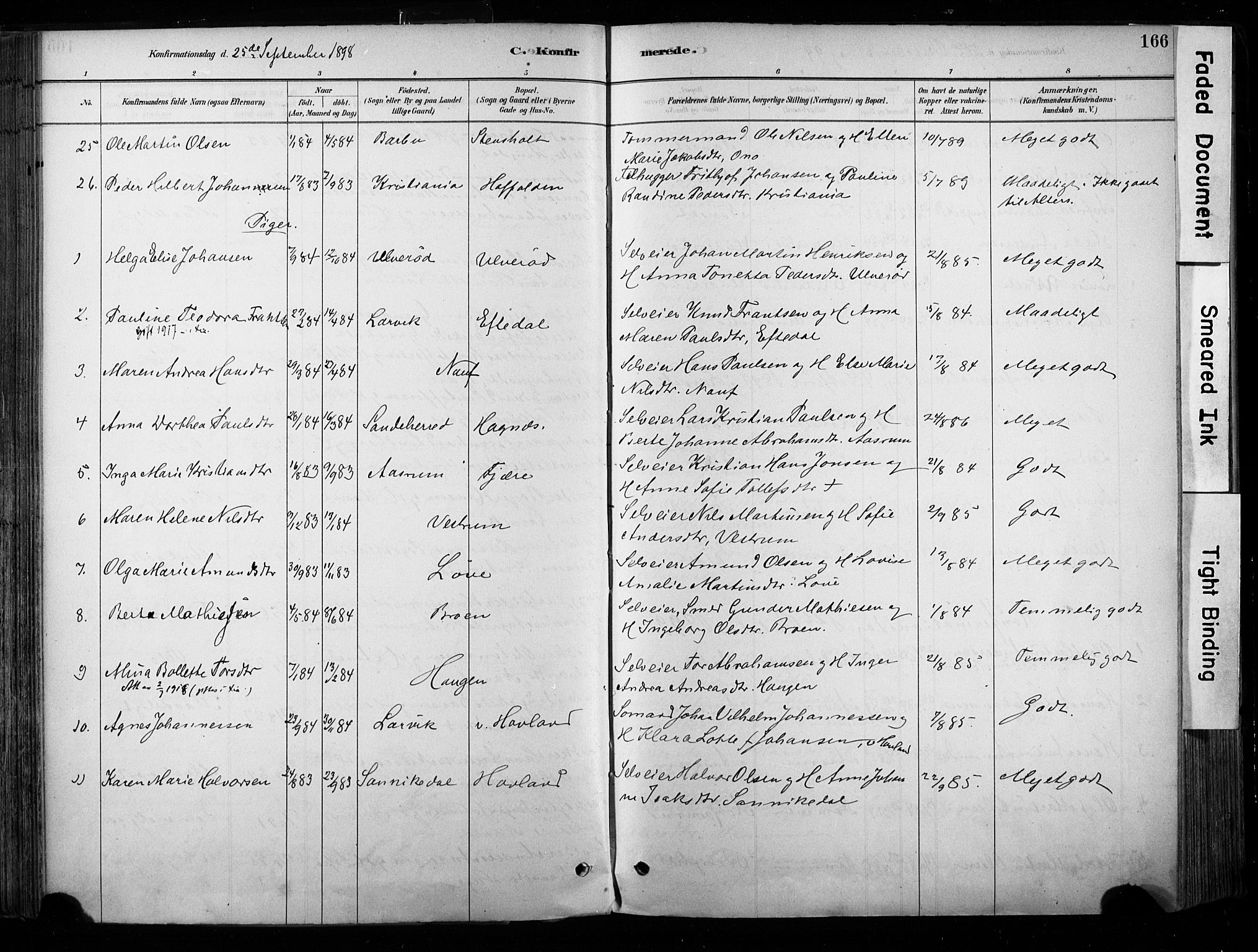 Hedrum kirkebøker, AV/SAKO-A-344/F/Fa/L0009: Parish register (official) no. I 9, 1881-1903, p. 166