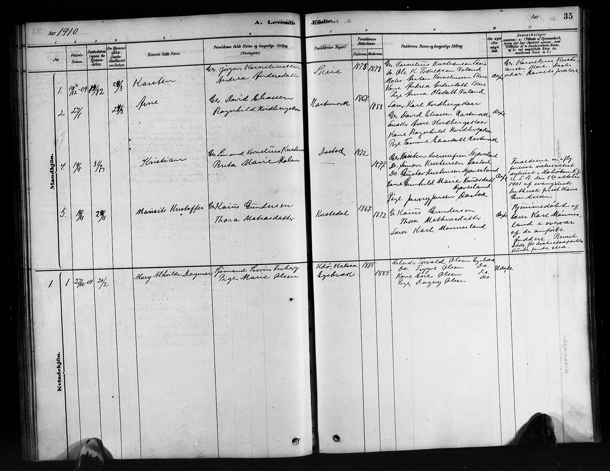 Mandal sokneprestkontor, SAK/1111-0030/F/Fb/Fbb/L0004: Parish register (copy) no. B 4, 1878-1913, p. 35