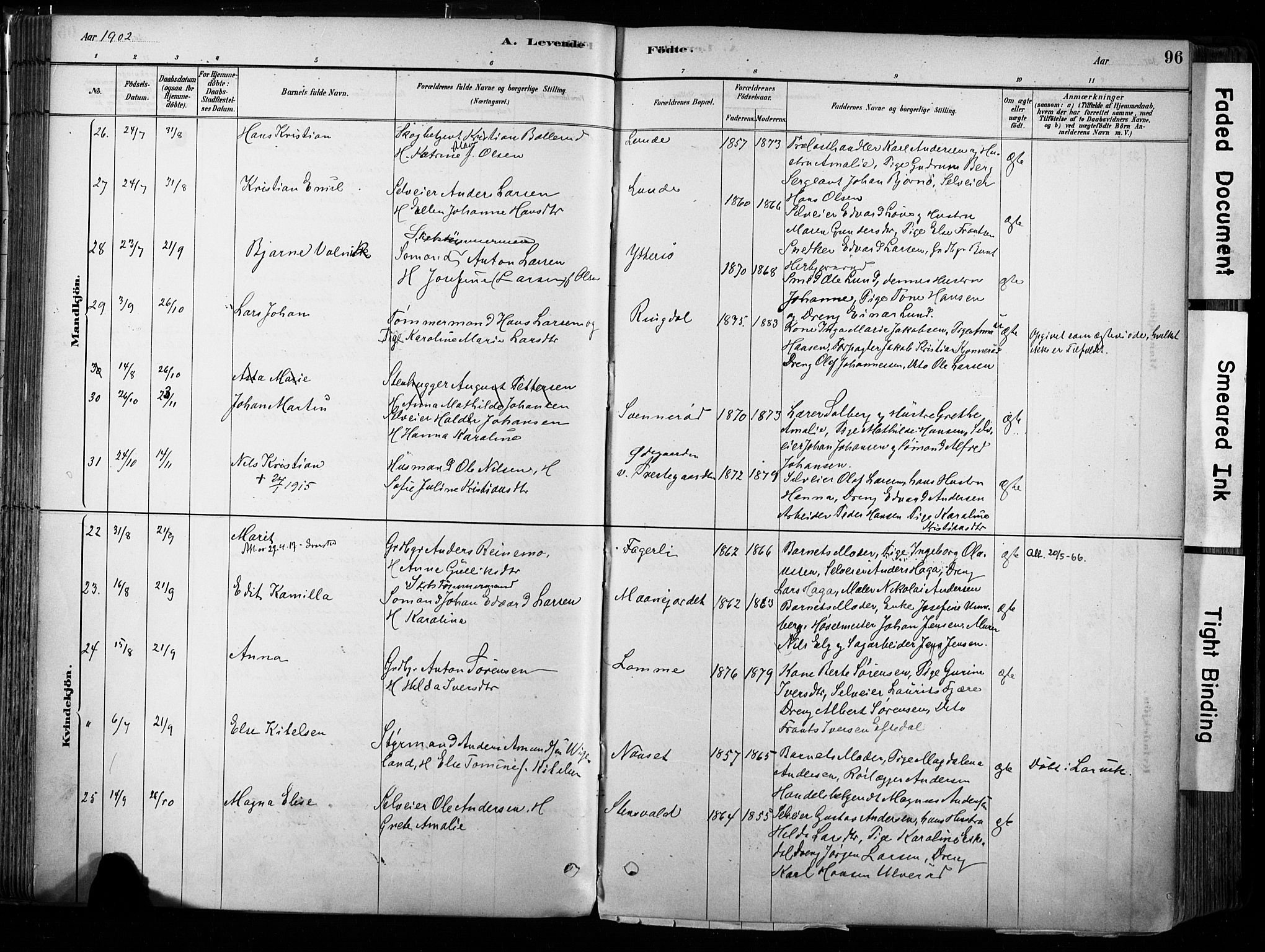 Hedrum kirkebøker, AV/SAKO-A-344/F/Fa/L0009: Parish register (official) no. I 9, 1881-1903, p. 96