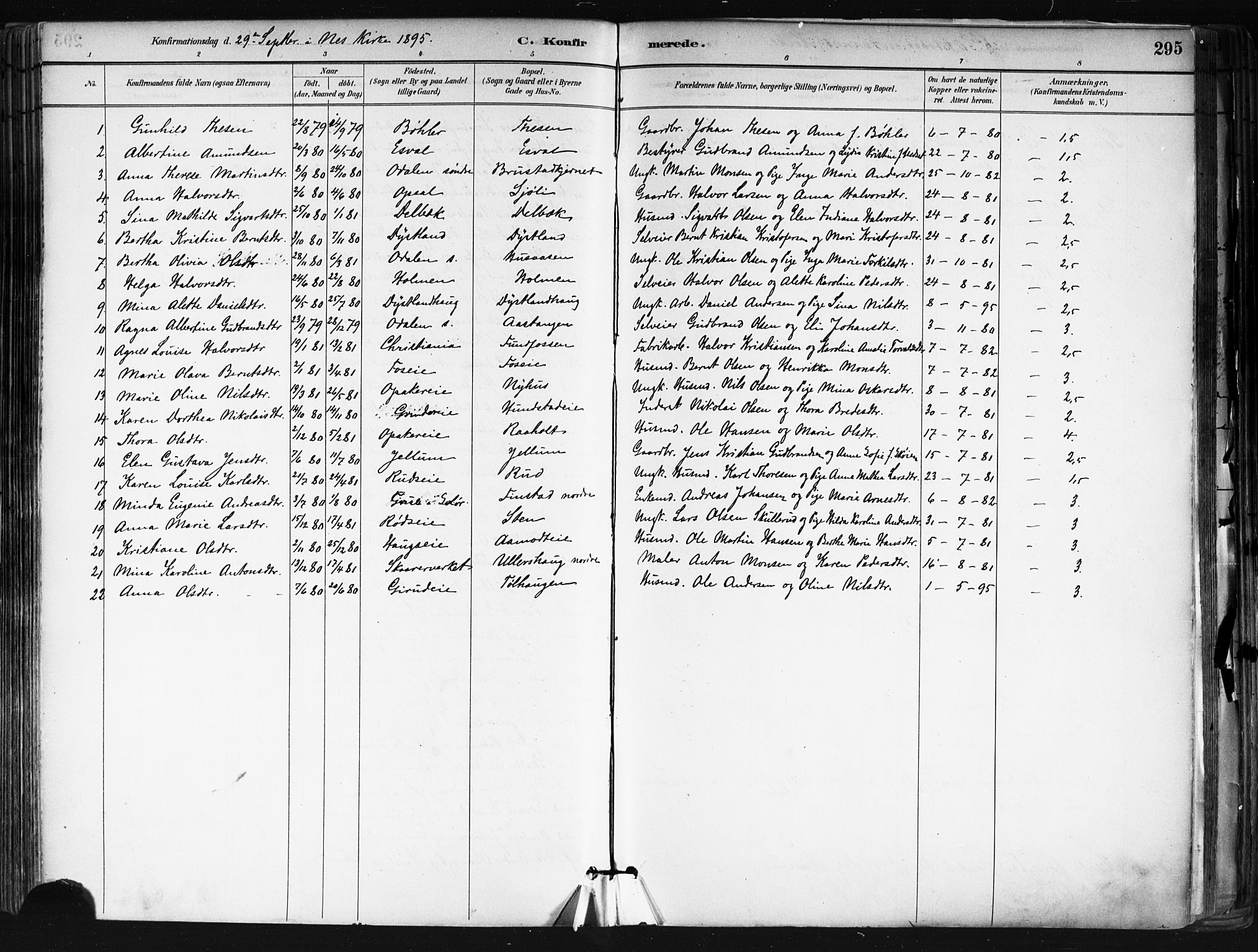 Nes prestekontor Kirkebøker, AV/SAO-A-10410/F/Fa/L0010: Parish register (official) no. I 10, 1883-1898, p. 295