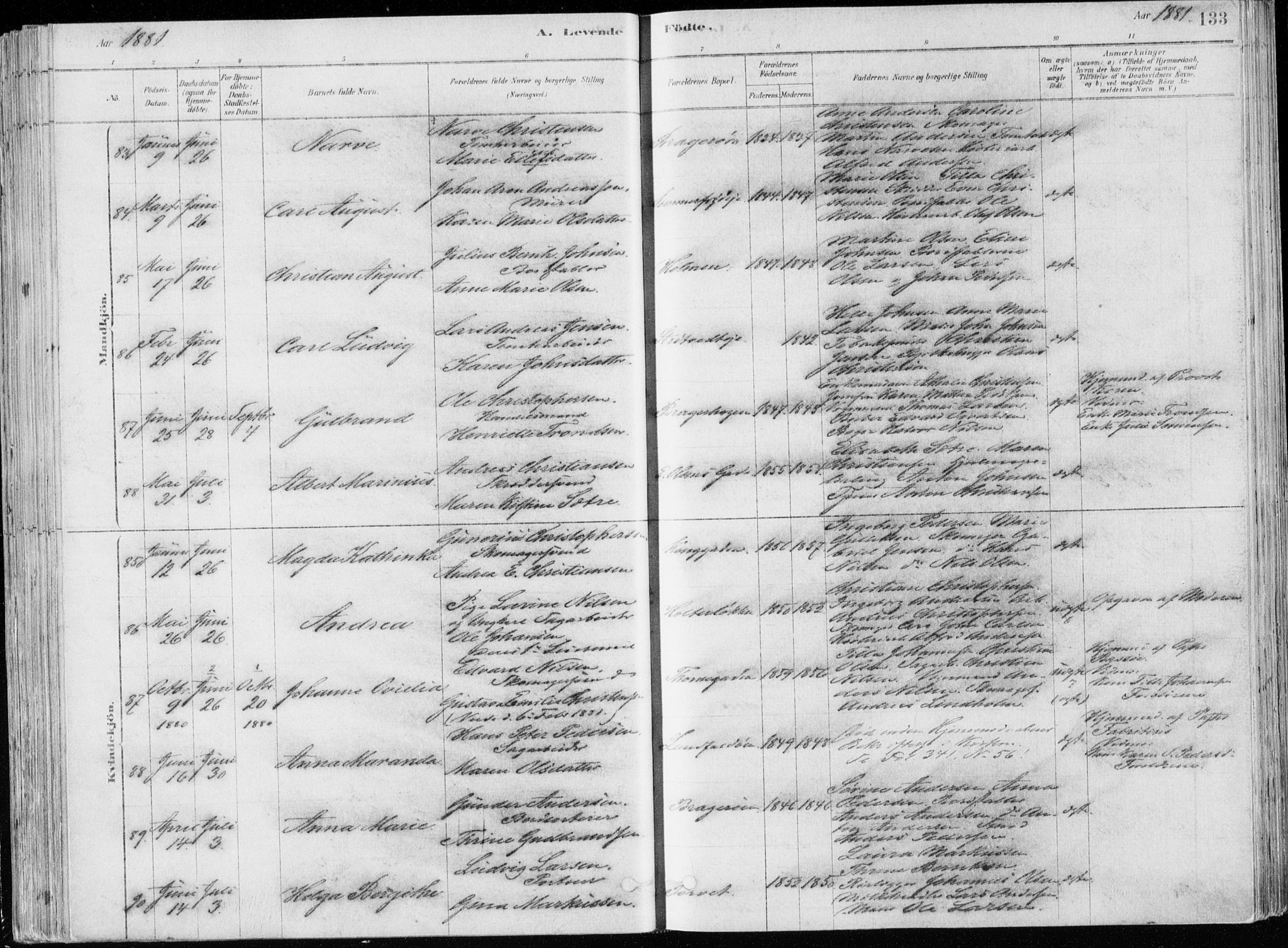 Bragernes kirkebøker, AV/SAKO-A-6/F/Fb/L0006a: Parish register (official) no. II 6A, 1878-1885, p. 133