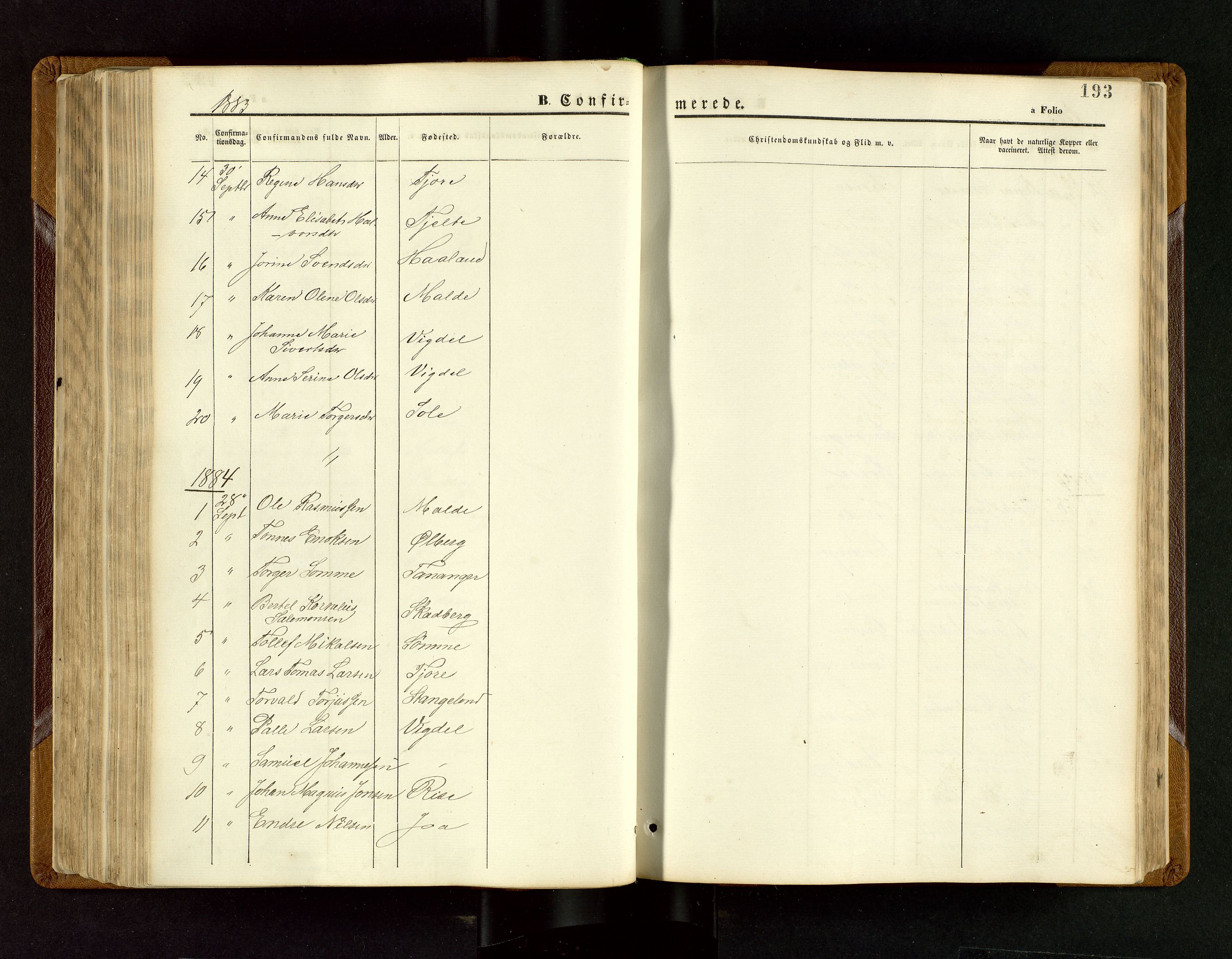 Håland sokneprestkontor, SAST/A-101802/001/30BB/L0003: Parish register (copy) no. B 3, 1873-1893, p. 193