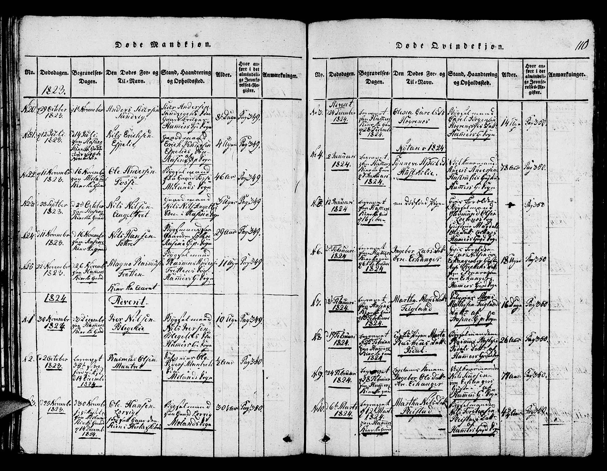 Hamre sokneprestembete, SAB/A-75501/H/Ha/Hab: Parish register (copy) no. A 1, 1816-1826, p. 110