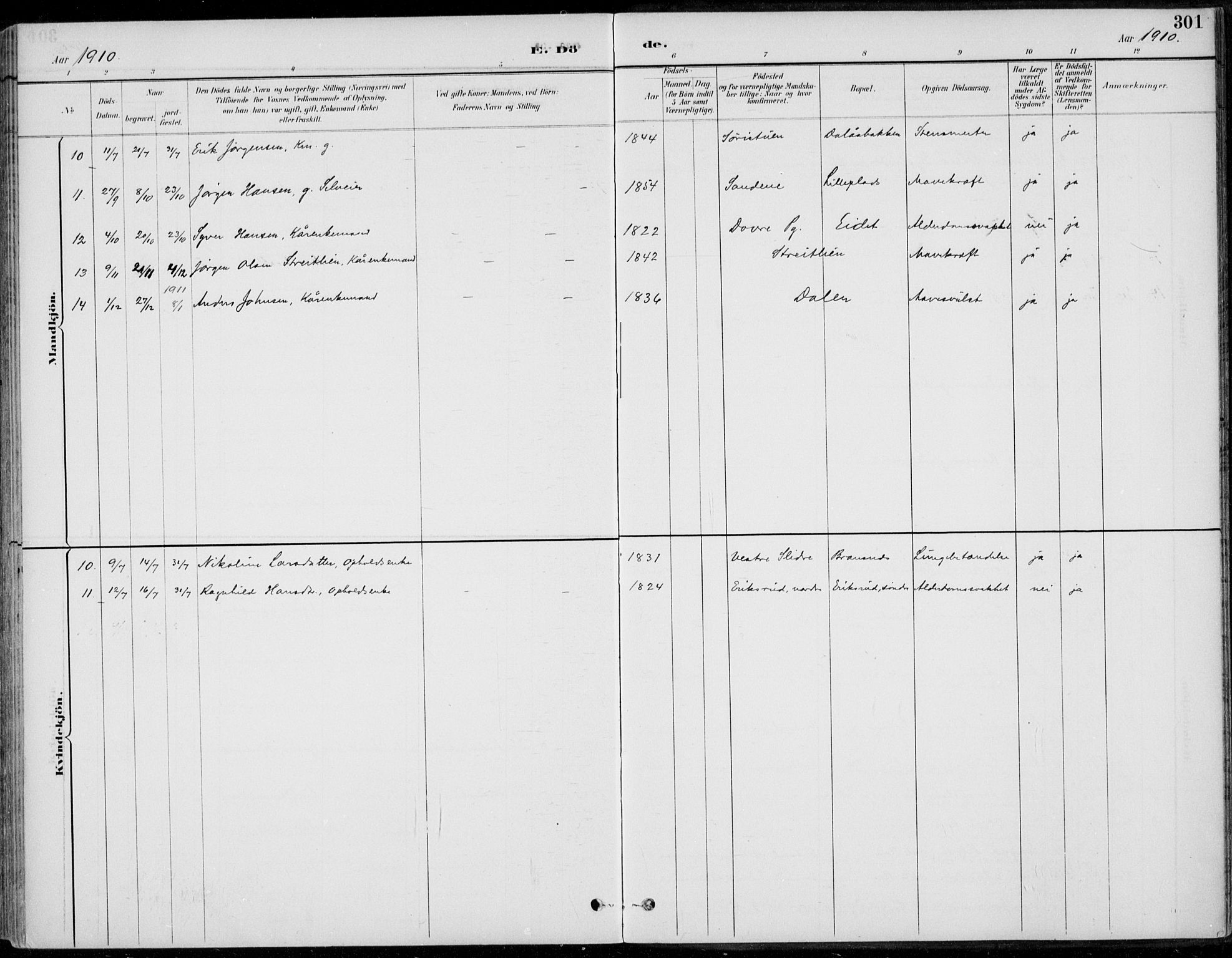 Alvdal prestekontor, SAH/PREST-060/H/Ha/Haa/L0003: Parish register (official) no. 3, 1886-1912, p. 301