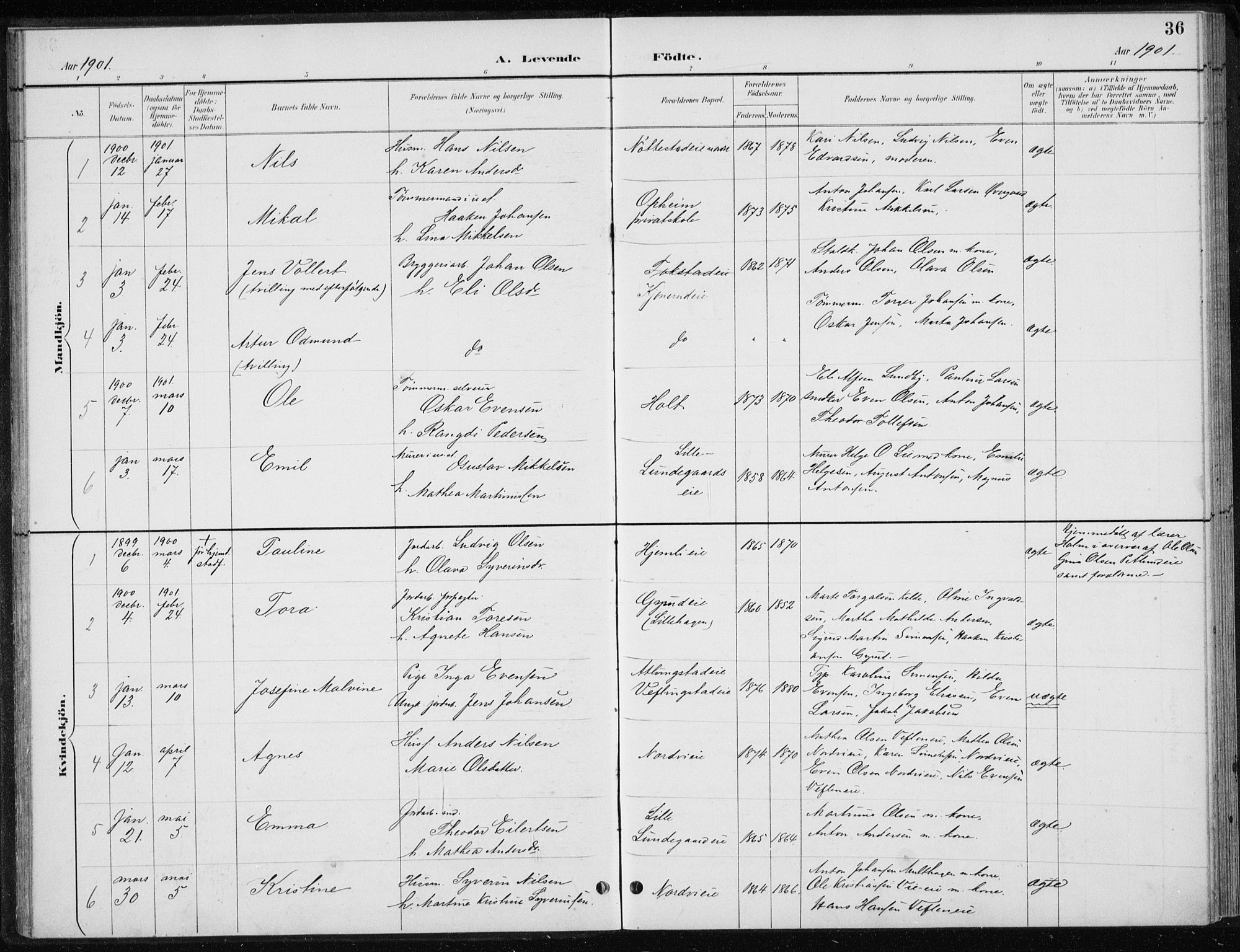 Stange prestekontor, SAH/PREST-002/L/L0010: Parish register (copy) no. 10, 1894-1905, p. 36