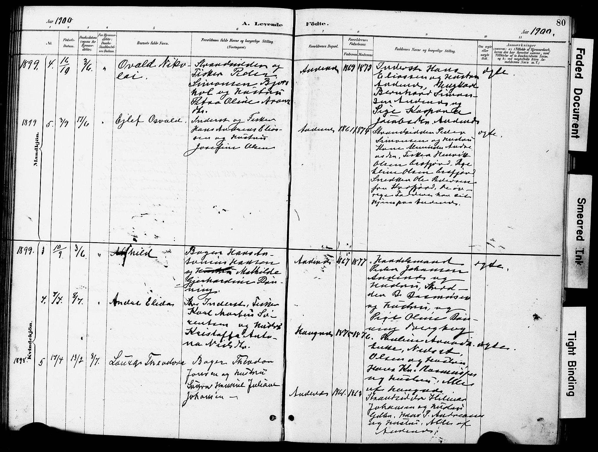 Ministerialprotokoller, klokkerbøker og fødselsregistre - Nordland, AV/SAT-A-1459/899/L1448: Parish register (copy) no. 899C03, 1887-1902, p. 80