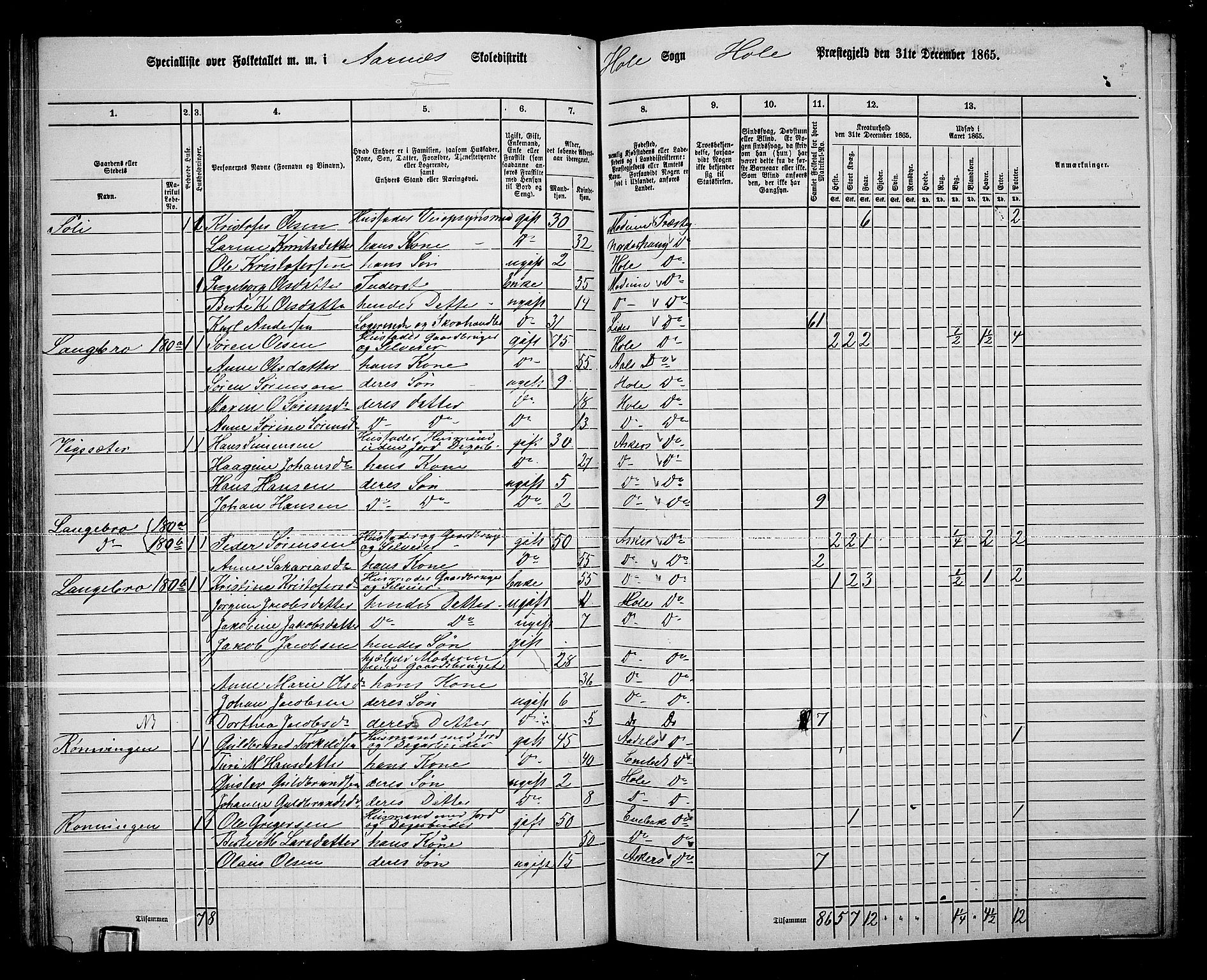 RA, 1865 census for Hole, 1865, p. 66